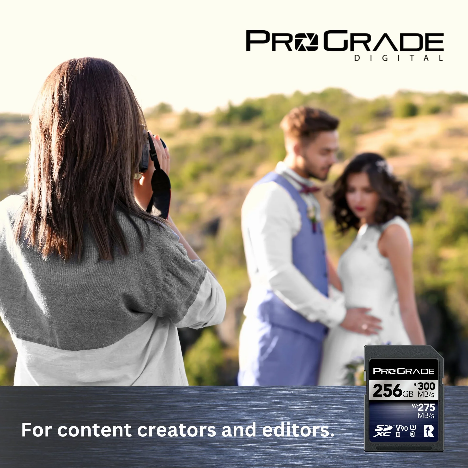 Karta pamięci ProGrade Digital SDXC UHS-II V90 Iridium (256GB)