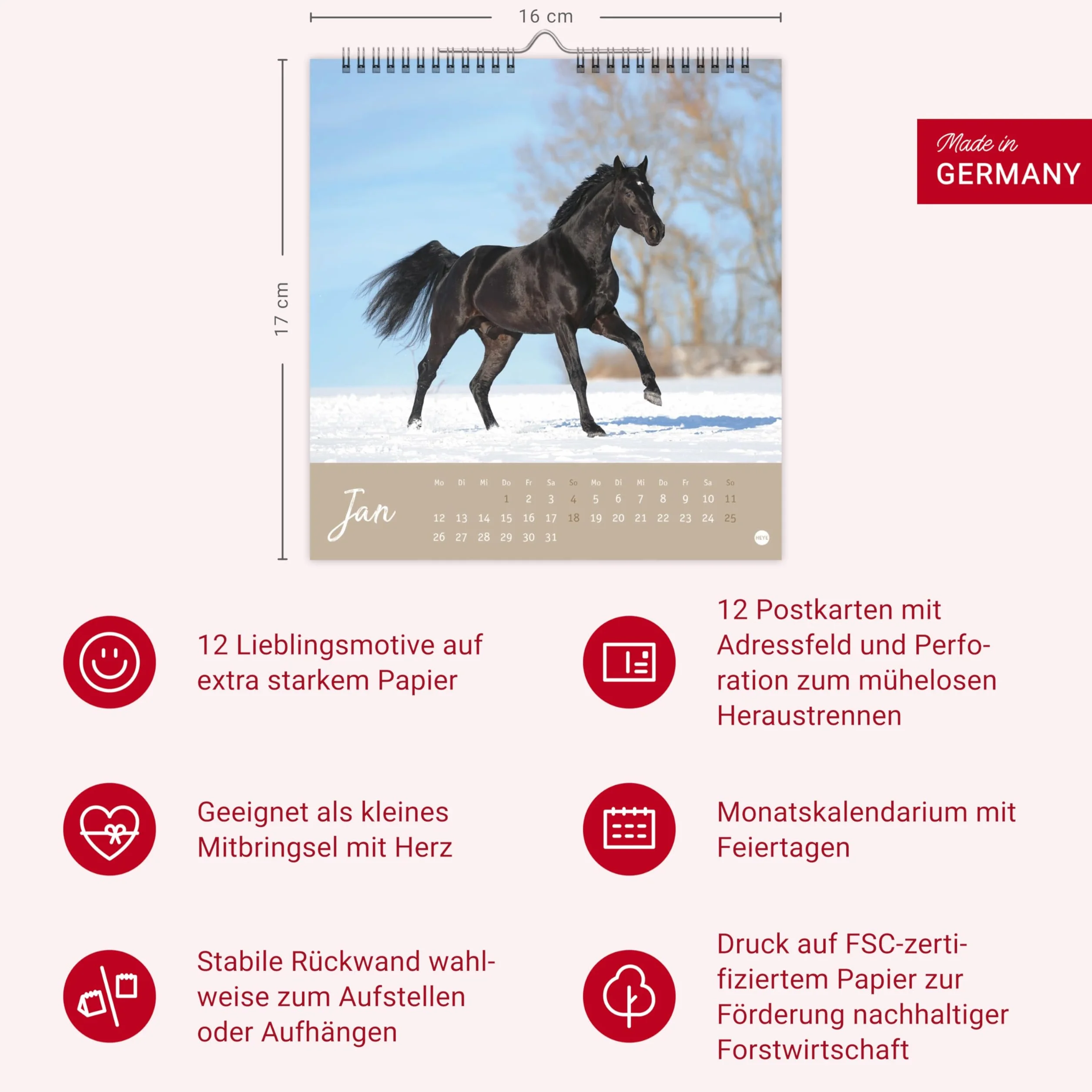 Pferde Postkartenkalender 2026 - Starke Freunde: Pferdefotografin Sabine Stuewer setzt die edlen Tiere in einem kleinen Kalender perfekt in Szene. Hochwertiger Postkarten-Fotokalender.