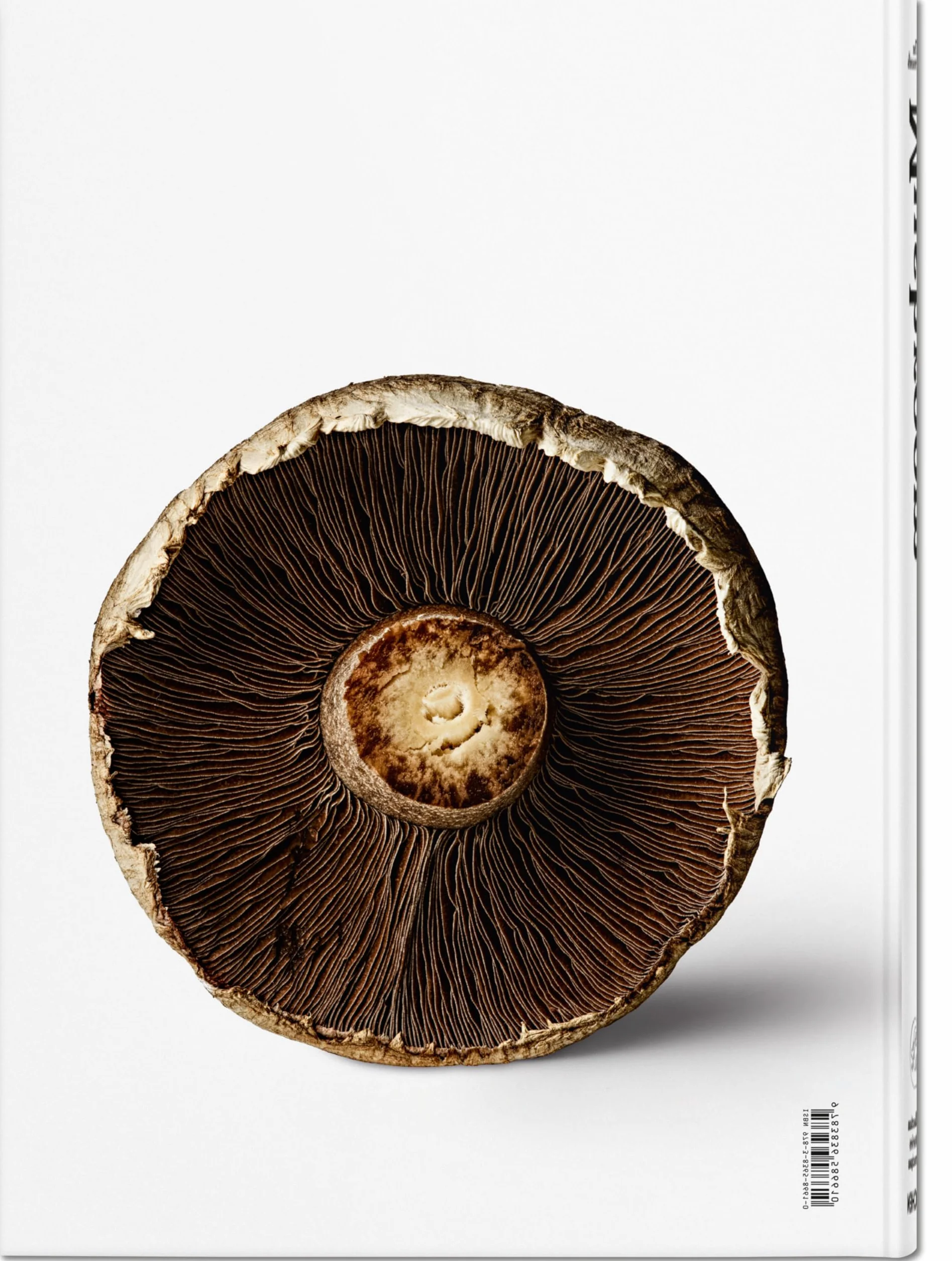 The Gourmand's Mushroom. a Collection of Stories & Recipes