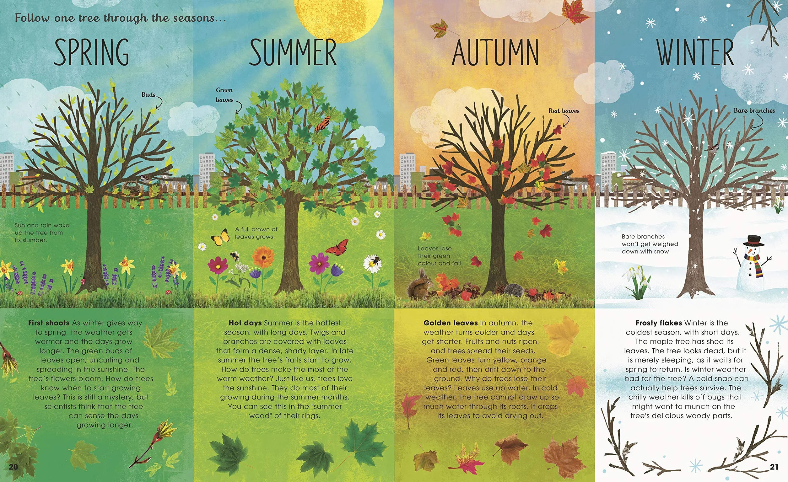 RHS The Magic and Mystery of Trees (The Magic and Mystery of Nature)
