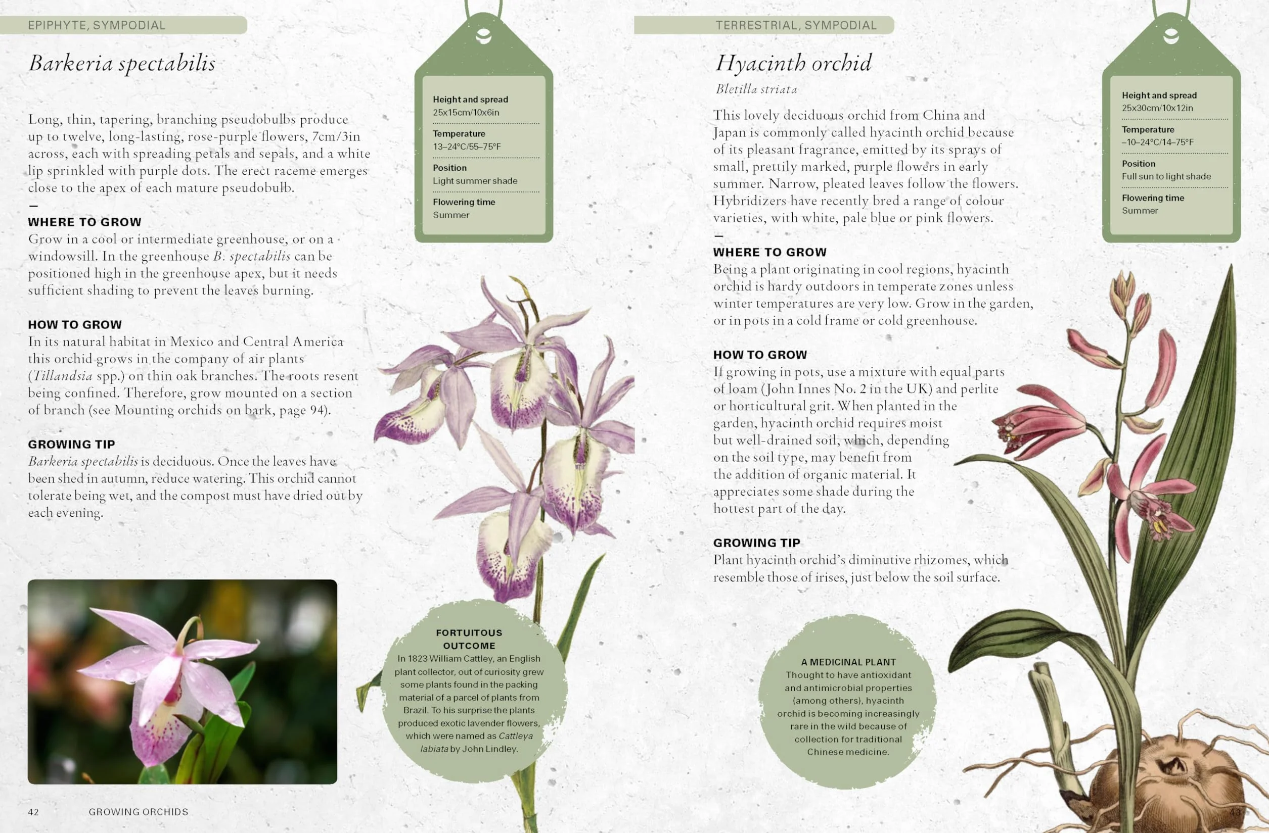 The Kew Gardener's Guide to Growing Orchids: The Art and Science to Grow Your Own Orchids (Volume 6)