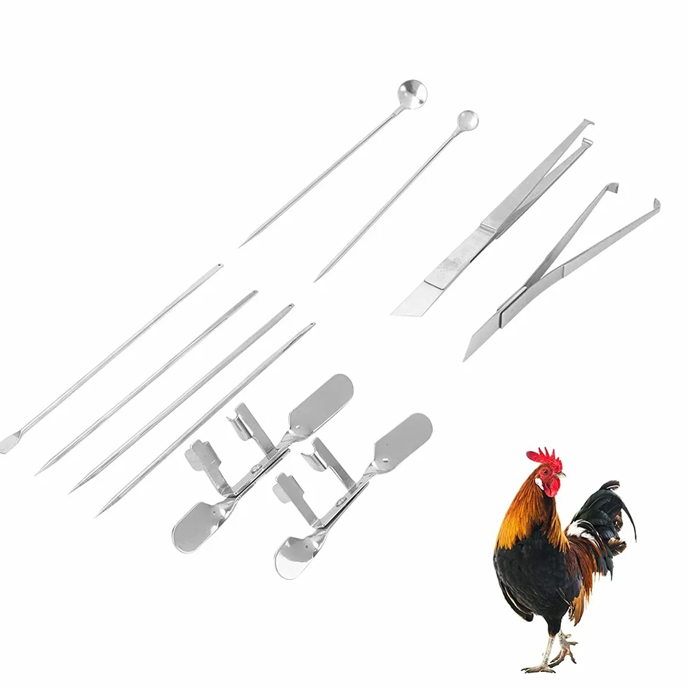 Kurczak Capon Hodowla Sprzęt do hodowli kapłonów Zwierzęta gospodarskie Szybki zestaw Kogut Capon Machine 10 szt. Kurczak Kapłon Narzędzie Przybory dla zwierząt do narzędzi Narzędzia Artykuły zdrowotn