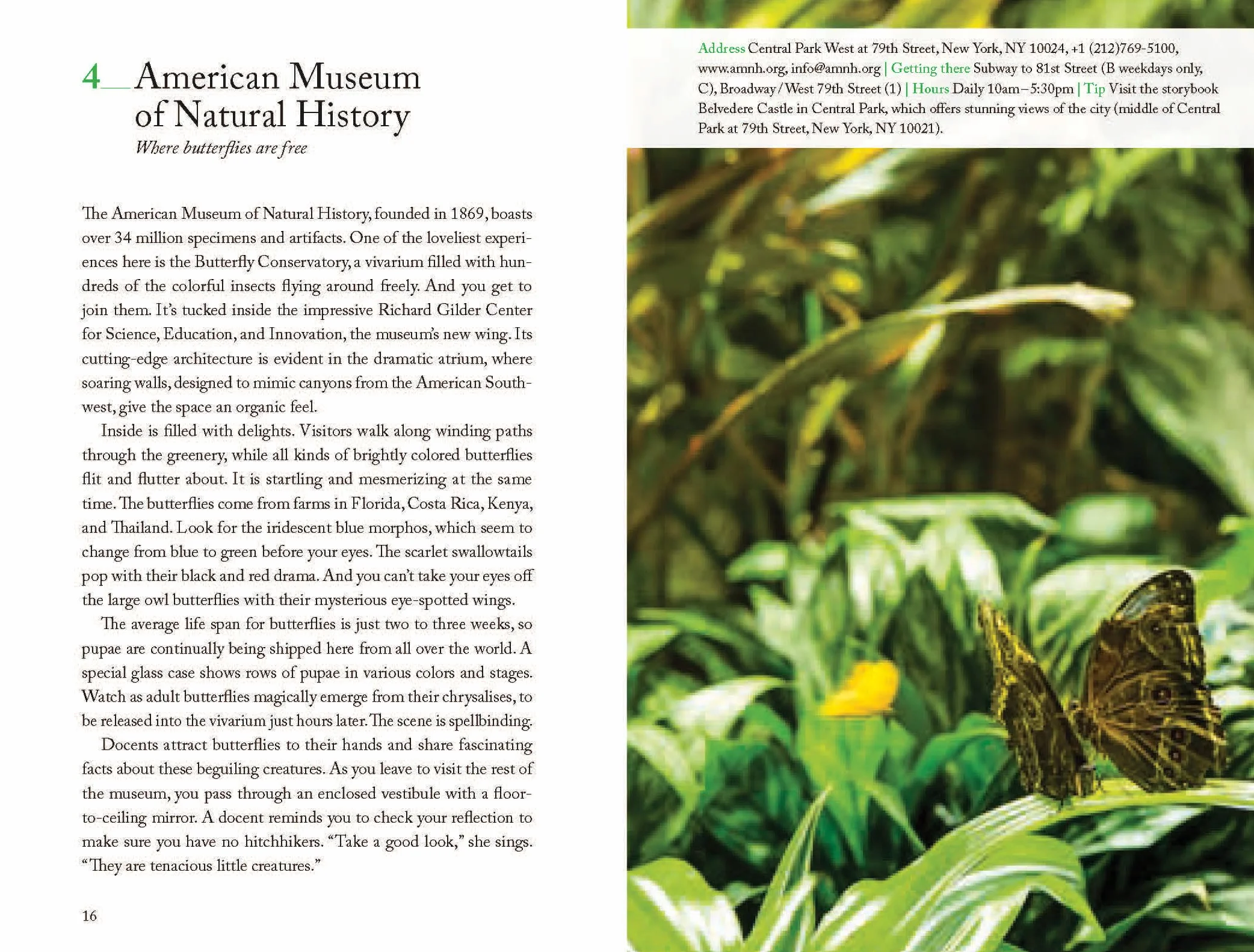 111 Museums in New York That You Must Not Miss