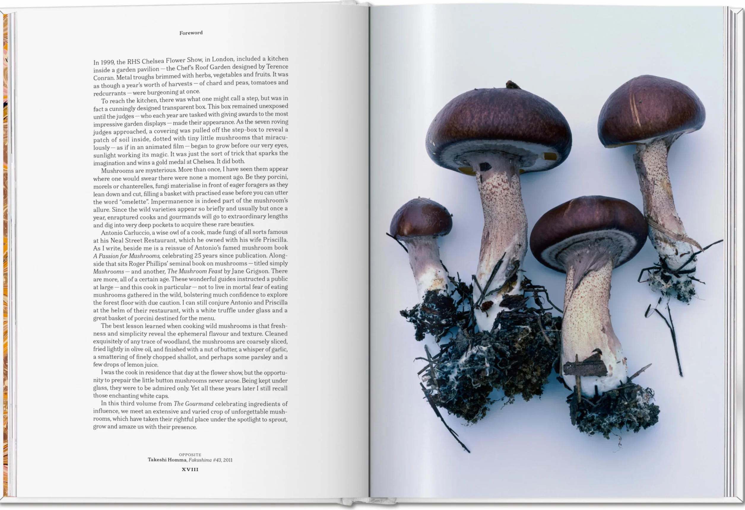 The Gourmand's Mushroom. a Collection of Stories & Recipes