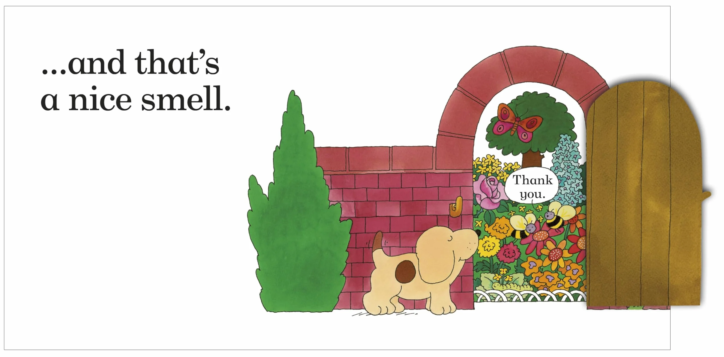 Spot's First Walk: A lift-the-flap board book