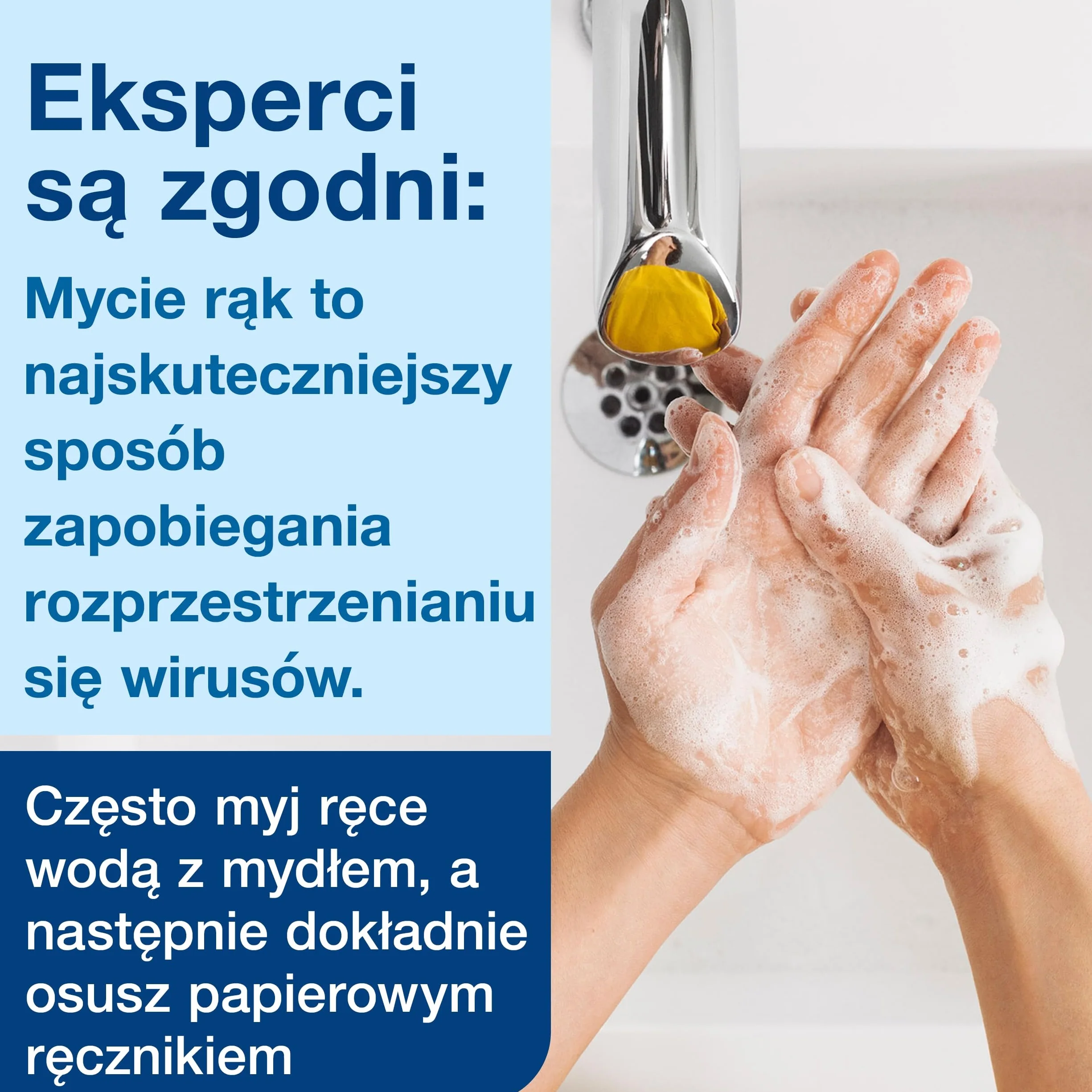 Tork dozownik do mydła w płynie i sprayu, biały, S1/11, linia Elevation, 560000