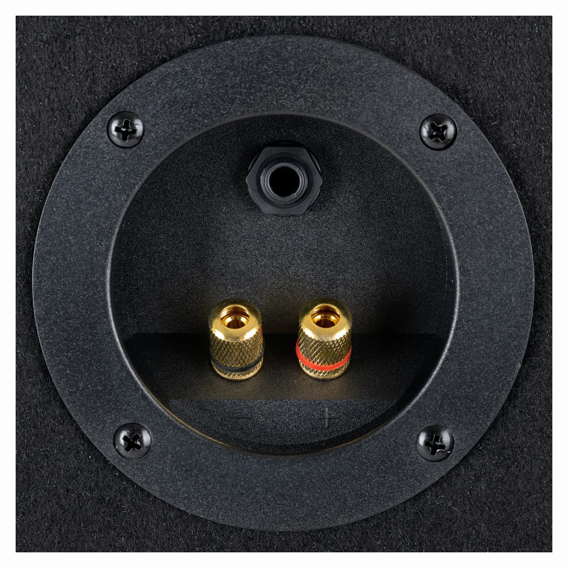 McGrey TP-10 DJ PA głośnik Box 25 cm (10") subwoofer 400 W (pasywny, system 2-drożny, drewniana obudowa)