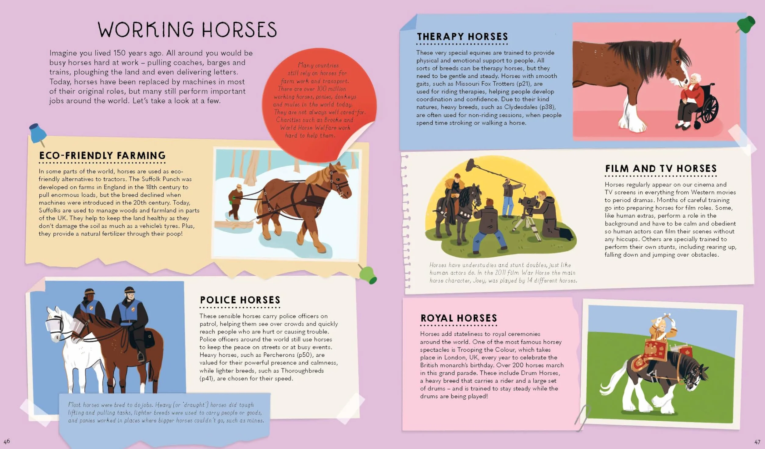Atlas of Horses and Ponies 1ed -anglais-: 100 Amazing Breeds From Around the World | Fun Features & Illustrations | Learn About their Super Senses | Fascinating Facts