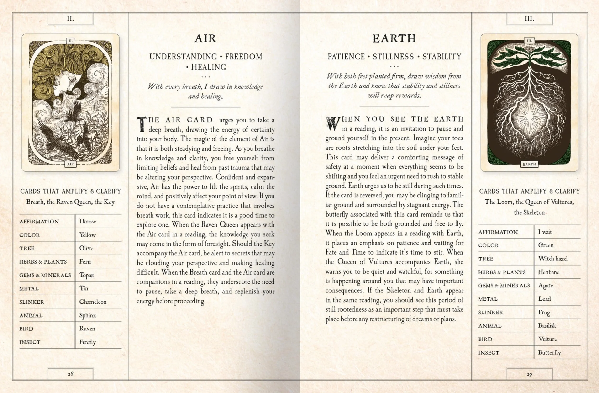The Black Bird Oracle Deck: A 52-Card Deck and Guidebook