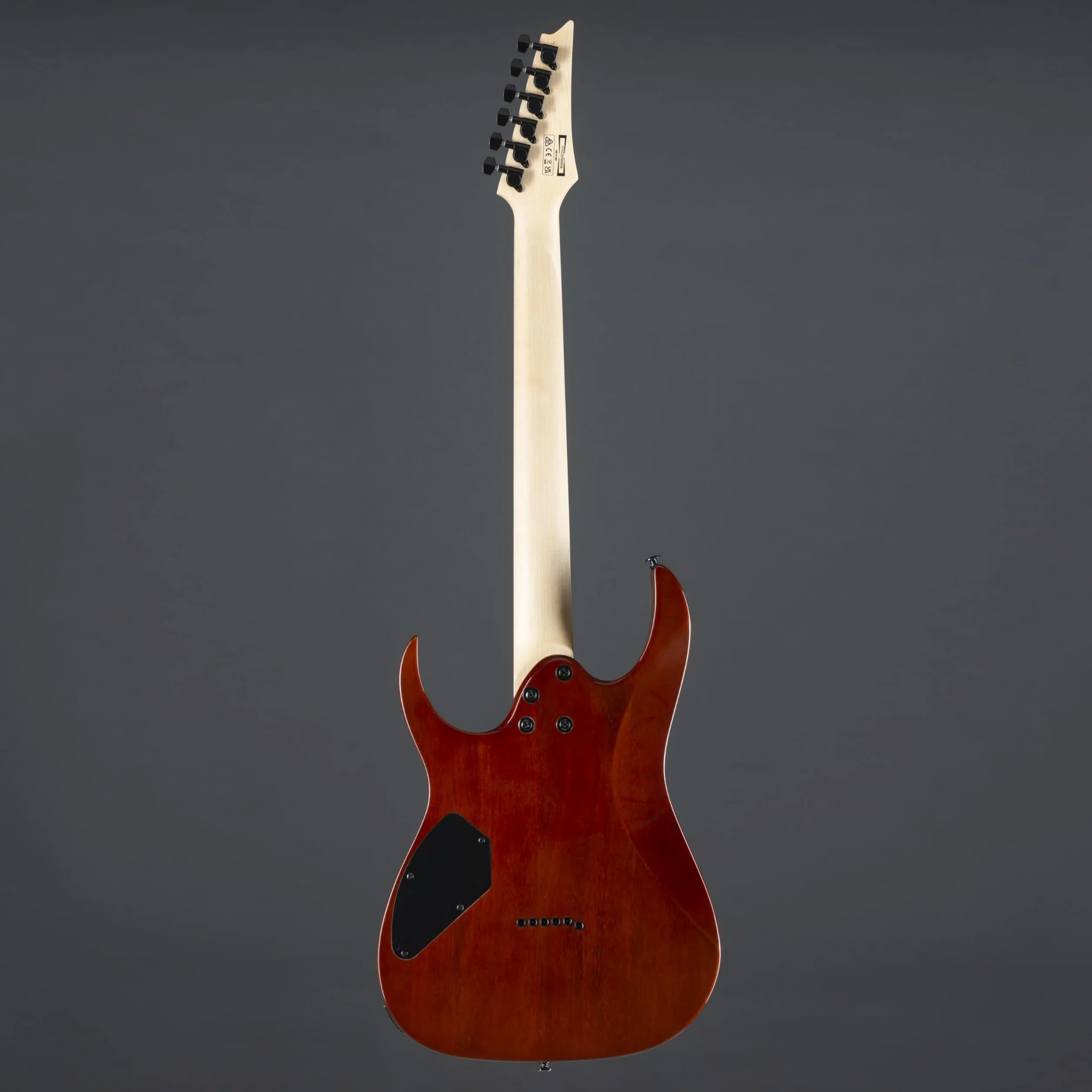 Ibanez GRGR221PA-AQB GIO Series Gitara elektryczna - Aqua Burst