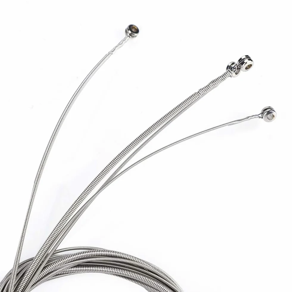 Zenithaura Electric Bass Strings 5 szt. Stali nierdzewnej dla gitarzystów