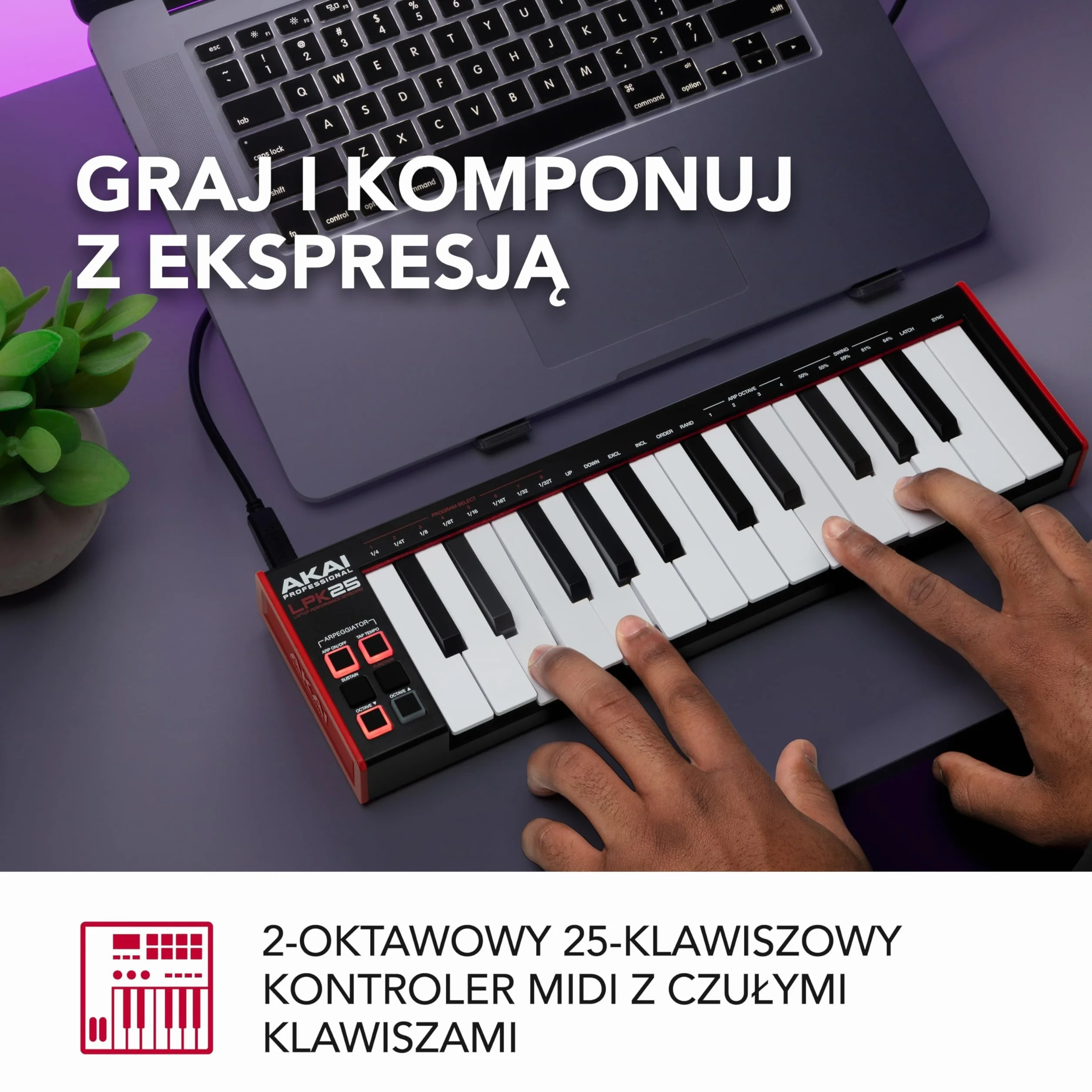 Akai Professional LPK25 - Klawiatura USB MIDI (Mac i PC) z 25 Responsywnymi Klawiszami Syntezatorowymi, Arpeggiatorem i Programami do Produkcji Muzyki