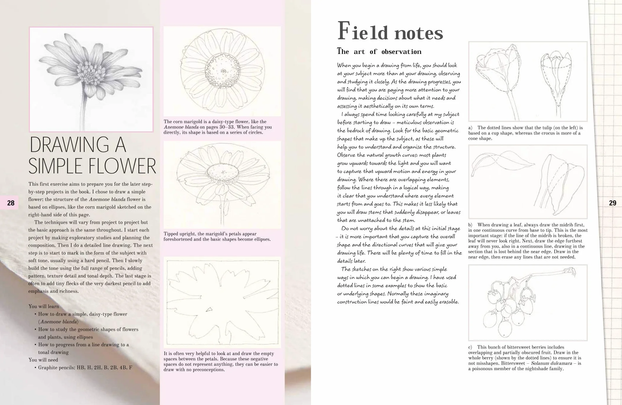 Botanical Drawing: A Step-By-Step Guide to Drawing Flowers, Vegetables, Fruit and Other Plant Life