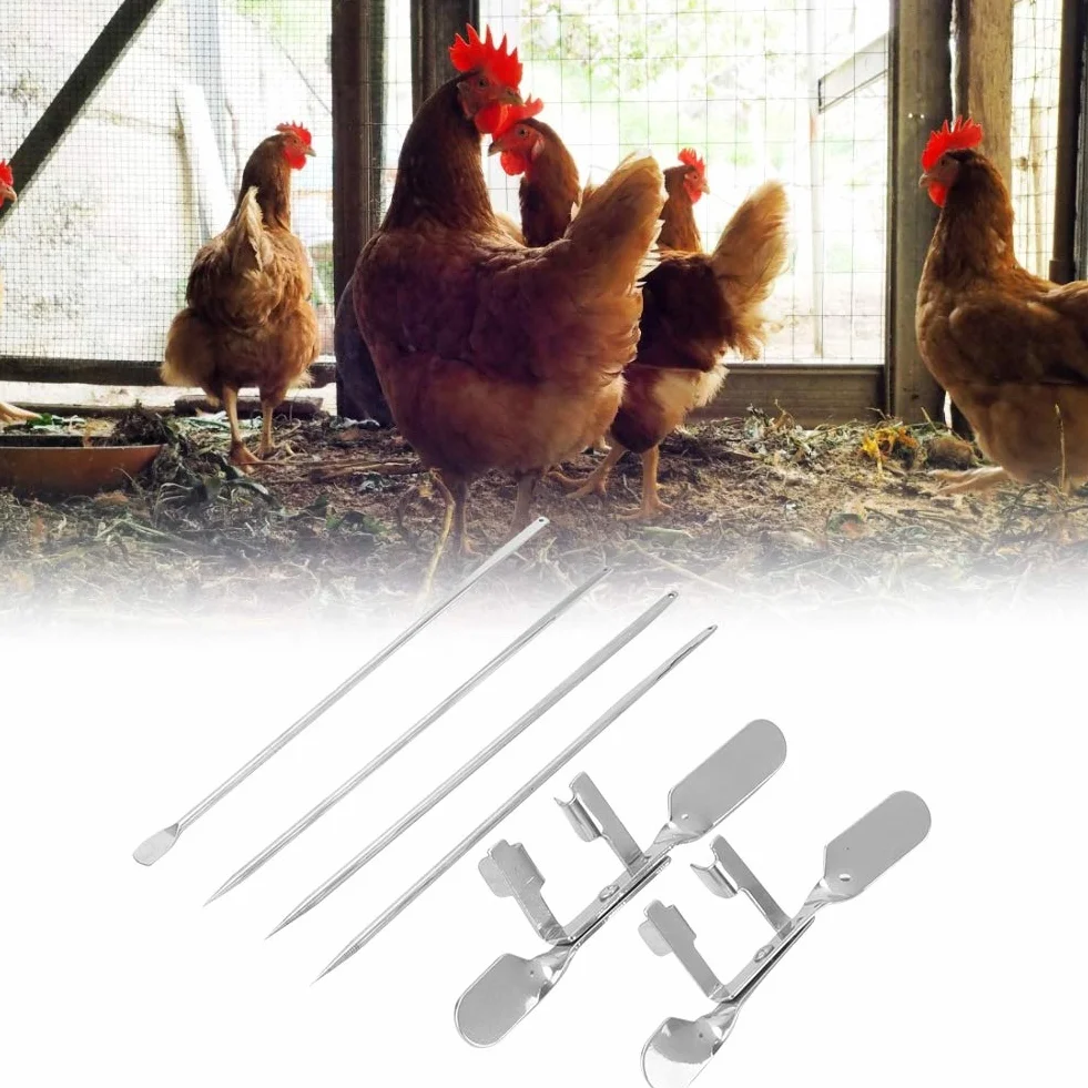 Kurczak Capon Hodowla Sprzęt do hodowli kapłonów Zwierzęta gospodarskie Szybki zestaw Kogut Capon Machine 10 szt. Kurczak Kapłon Narzędzie Przybory dla zwierząt do narzędzi Narzędzia Artykuły zdrowotn