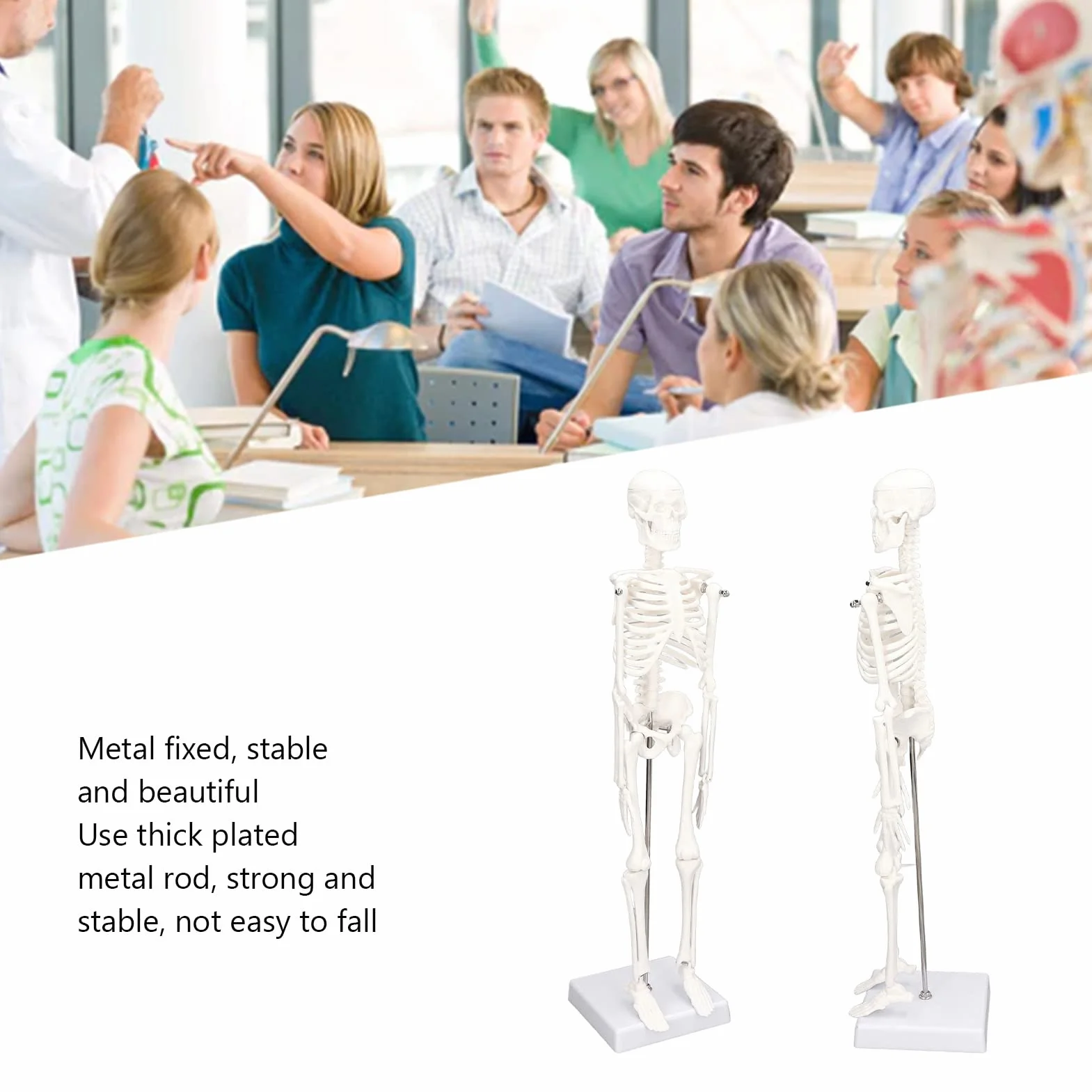 Mini Model Szkieletu Człowieka, Anatomiczny Model Szkieletu Medycznego, 45cm/ 17.7in Mini Model Człowieka z PVC z Pełną Strukturą Kości z Ruchomymi Ramionami, Nogami i Stojakiem do Nauczania