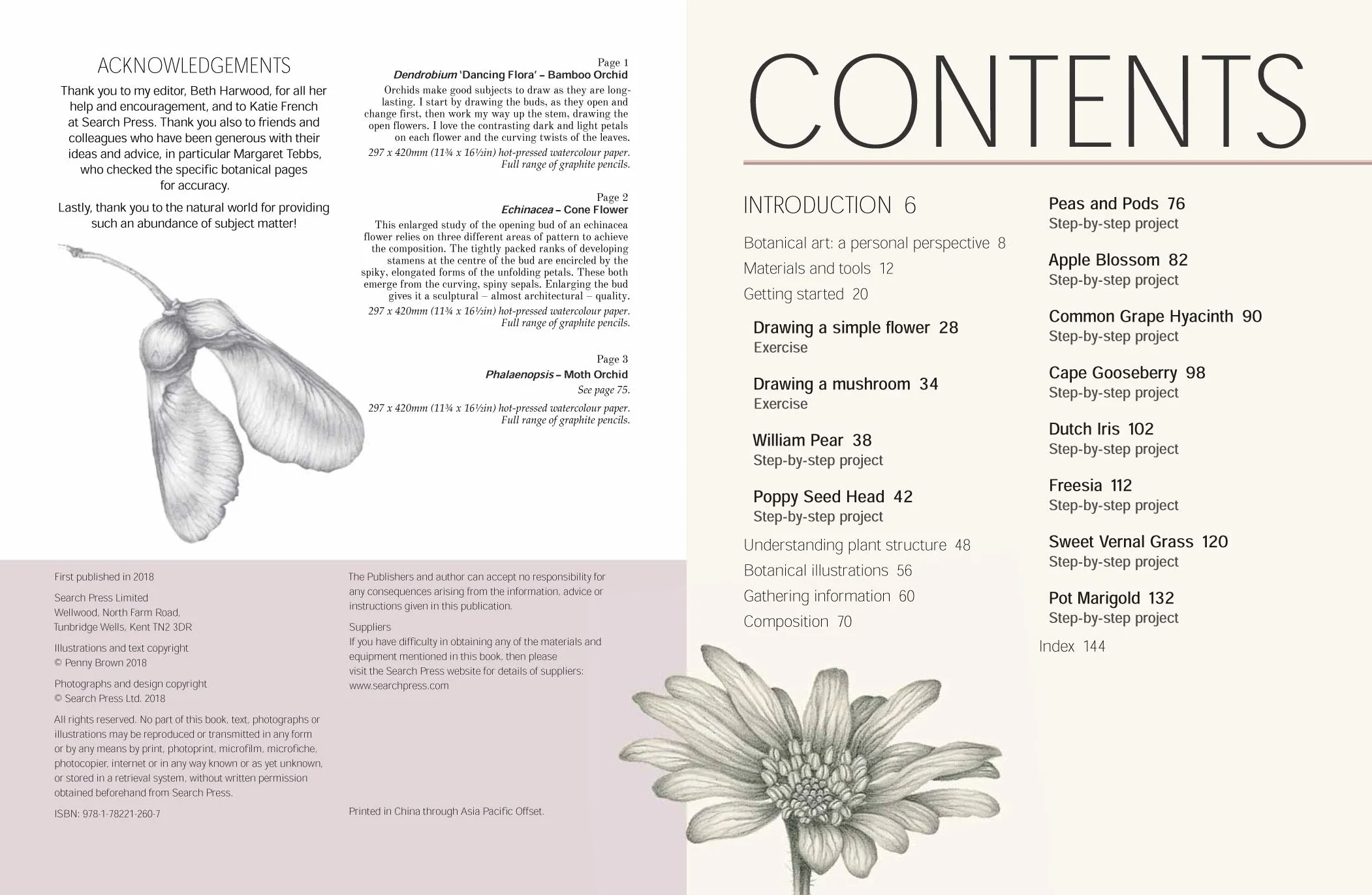 Botanical Drawing: A Step-By-Step Guide to Drawing Flowers, Vegetables, Fruit and Other Plant Life