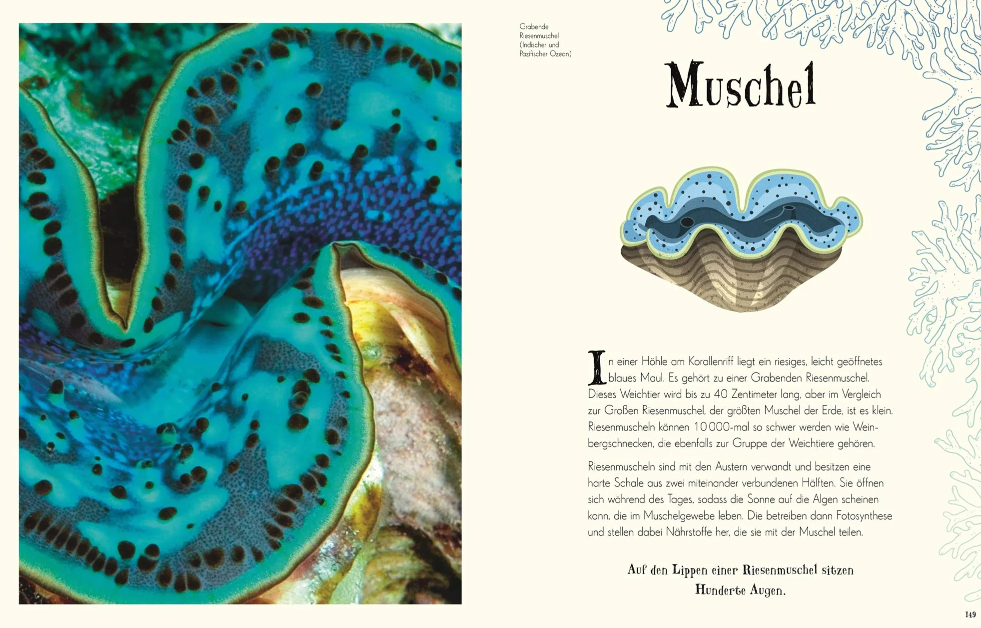 Wundervolle Welt der Natur: Ein Naturbilderbuch für die ganze Familie. Hochwertig ausgestattet mit Lesebändchen, Goldfolie und Goldschnitt