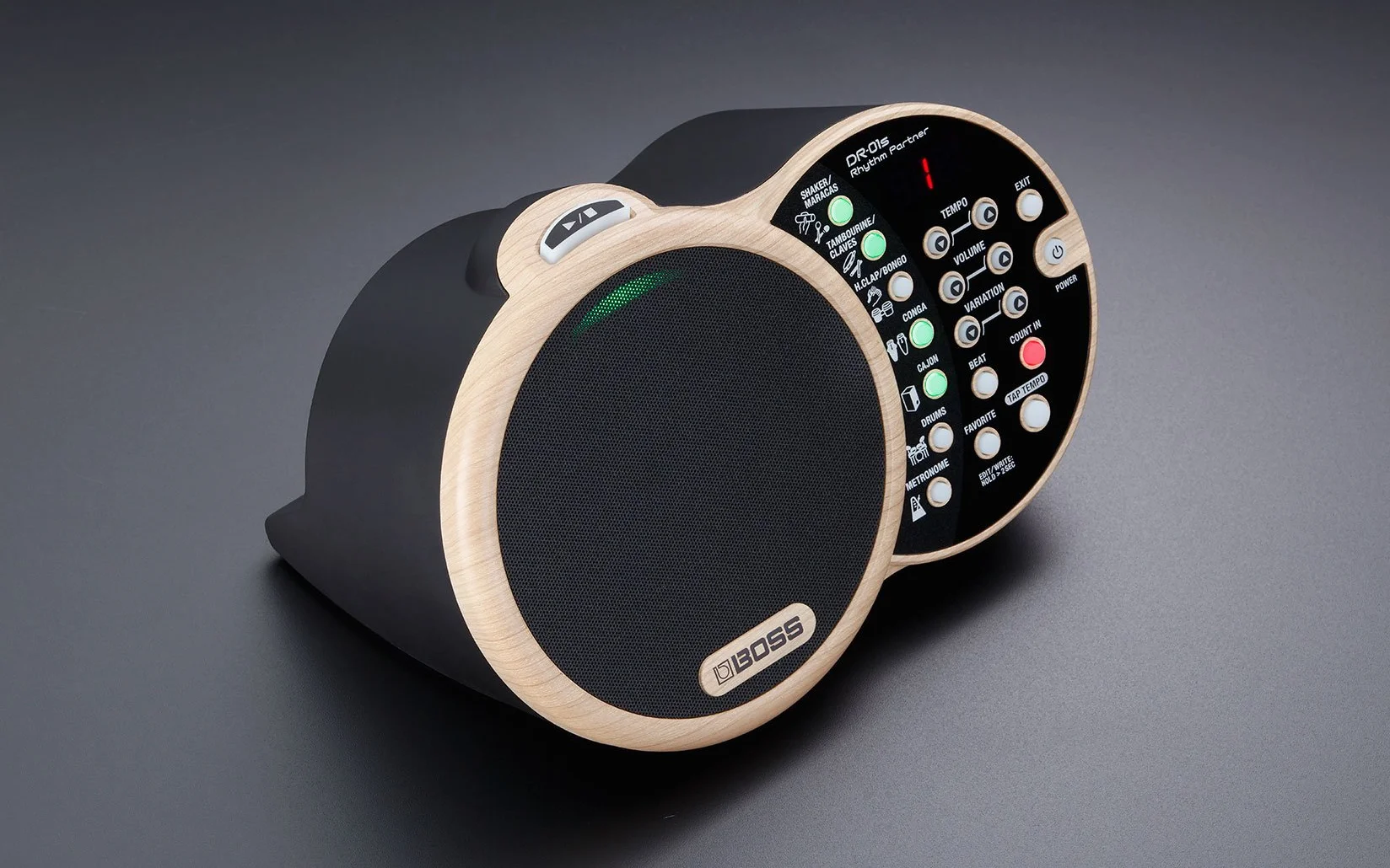 BOSS DR-01S Rhythm Partner