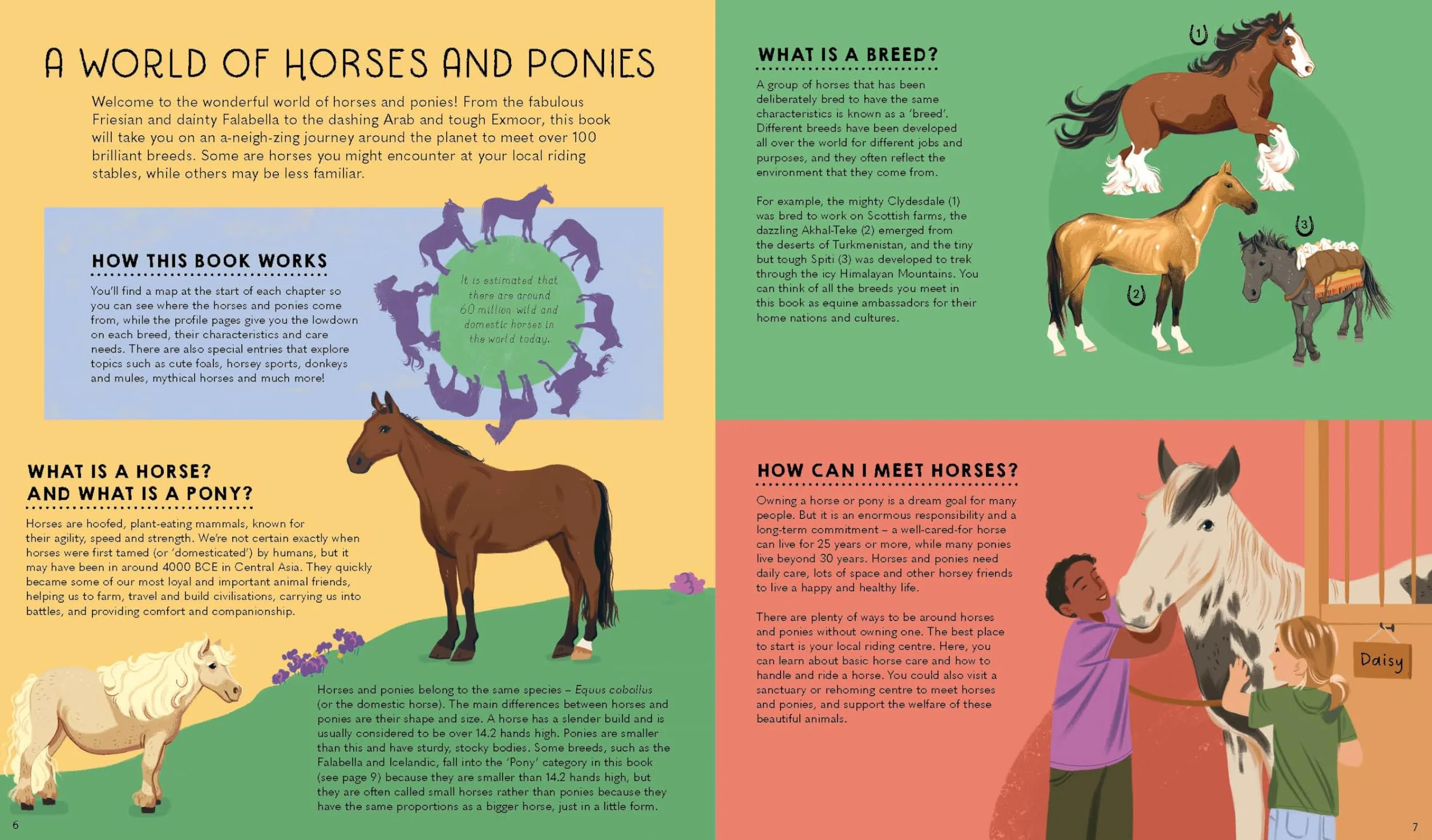 Atlas of Horses and Ponies 1ed -anglais-: 100 Amazing Breeds From Around the World | Fun Features & Illustrations | Learn About their Super Senses | Fascinating Facts