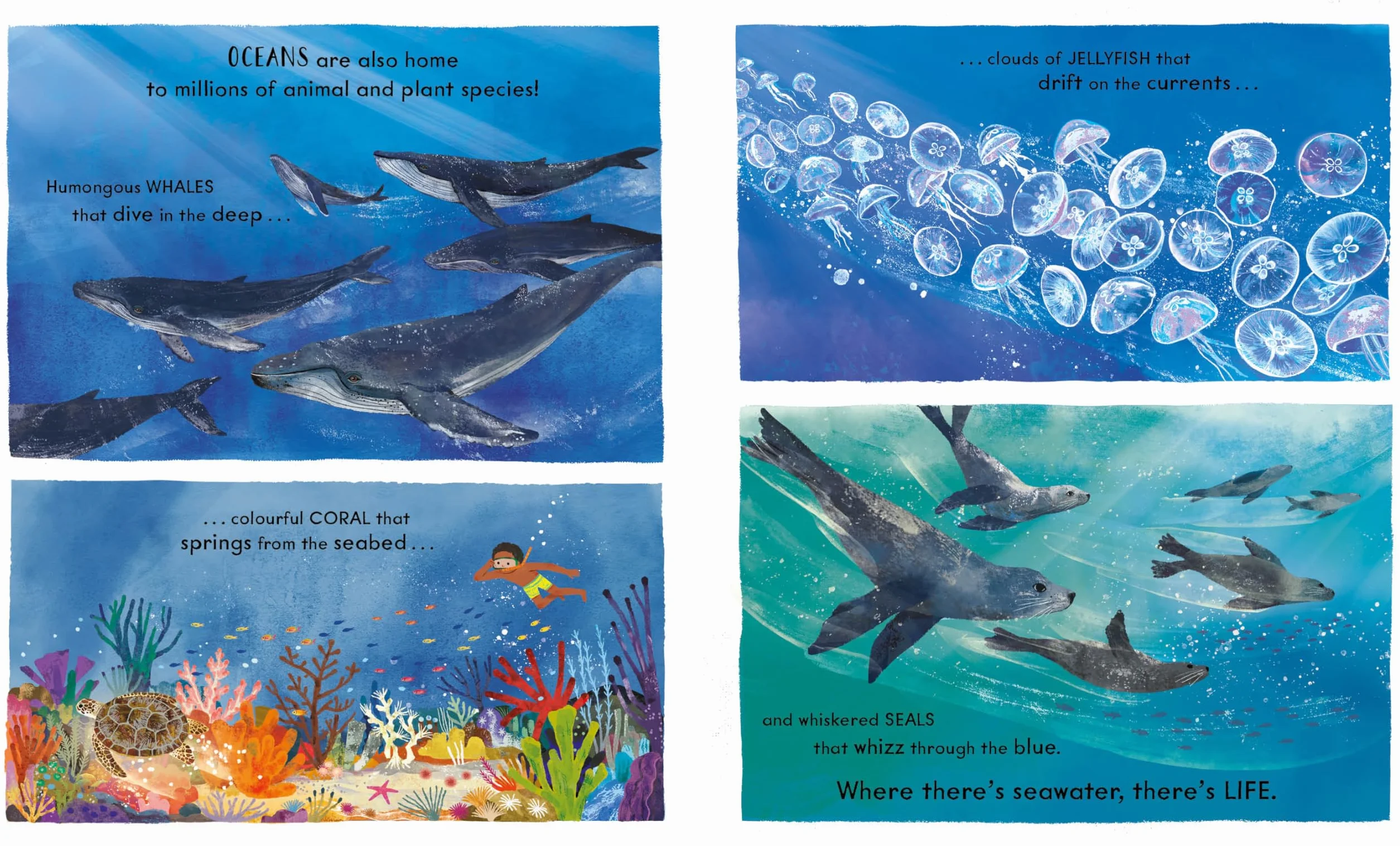 National Trust: Wonder World: Water: The Natural Science of Rain, Rivers and Oceans