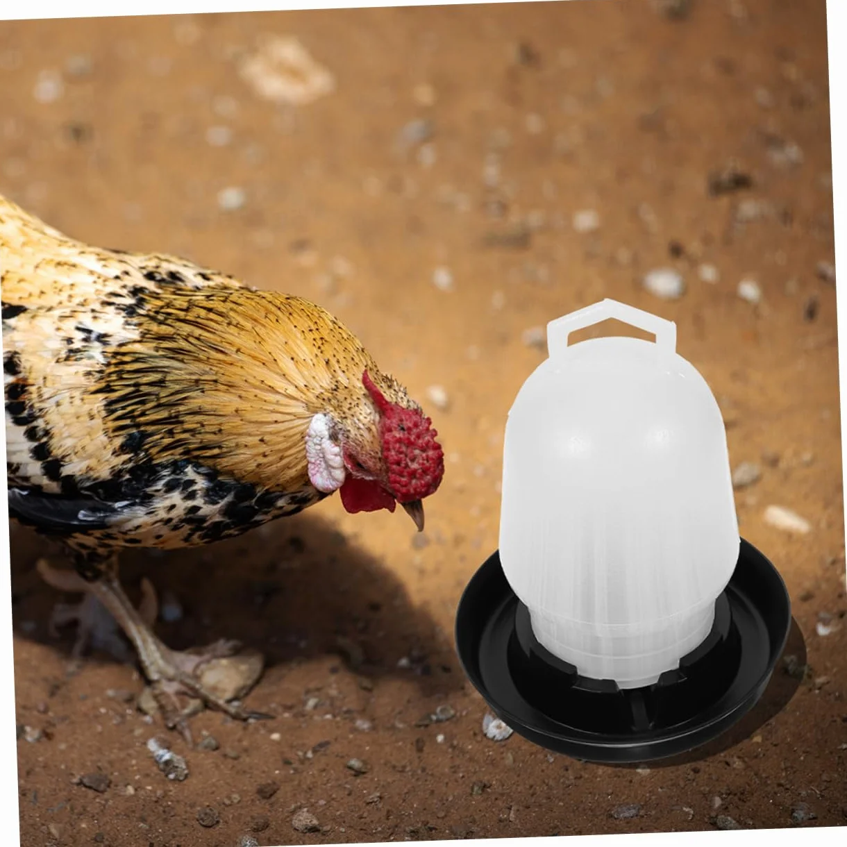 2kawałki Automatyczny Podajnik Wody Dla Kurczaków Plastikowy Zbiornik Wodę Kubki Do Picia Dla Drobiu Wygodne Rozwiązanie Kurczaków i Innego Ptactwa