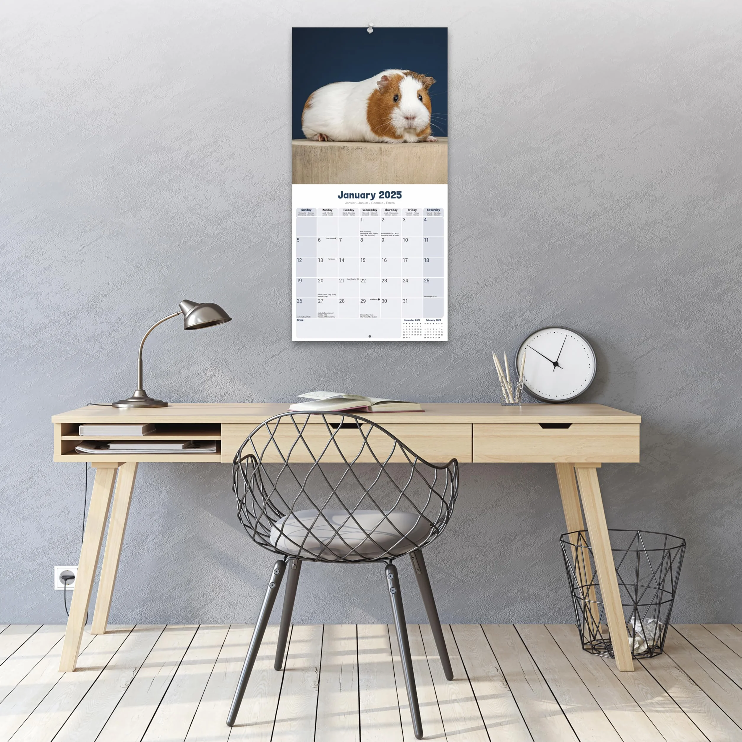 Guinea Pigs Calendar 2025 Square Wall Calendar 16 Month Avonside