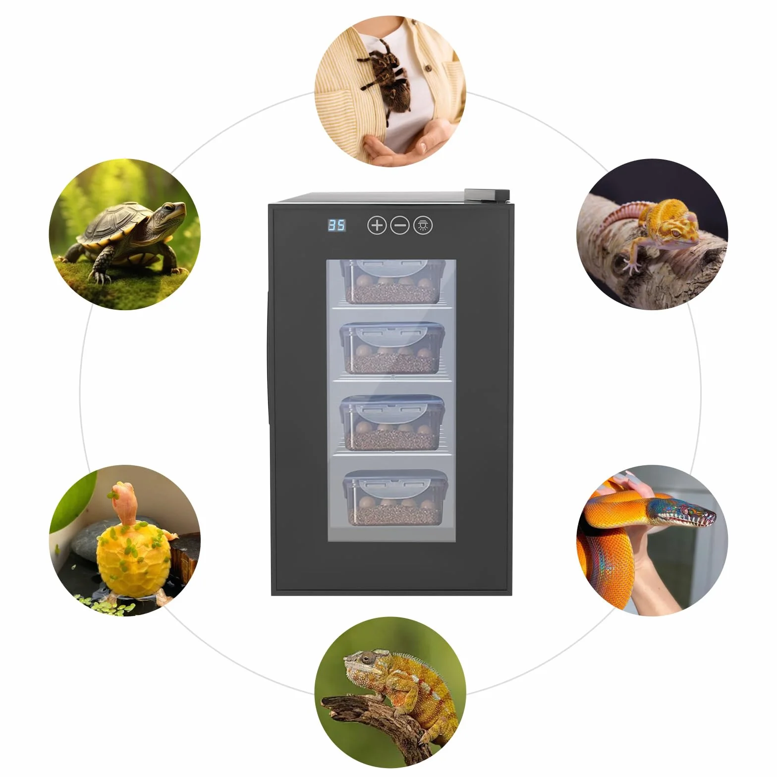 Inkubator do jaj gadów, 23 l, 55 W, automatyczny inkubator z wyświetlaczem LED, cichy, regulowana temperatura 10-40°C, dla żółwi wodnych, 25,8 x 50,2 x 46,5 cm, czarny