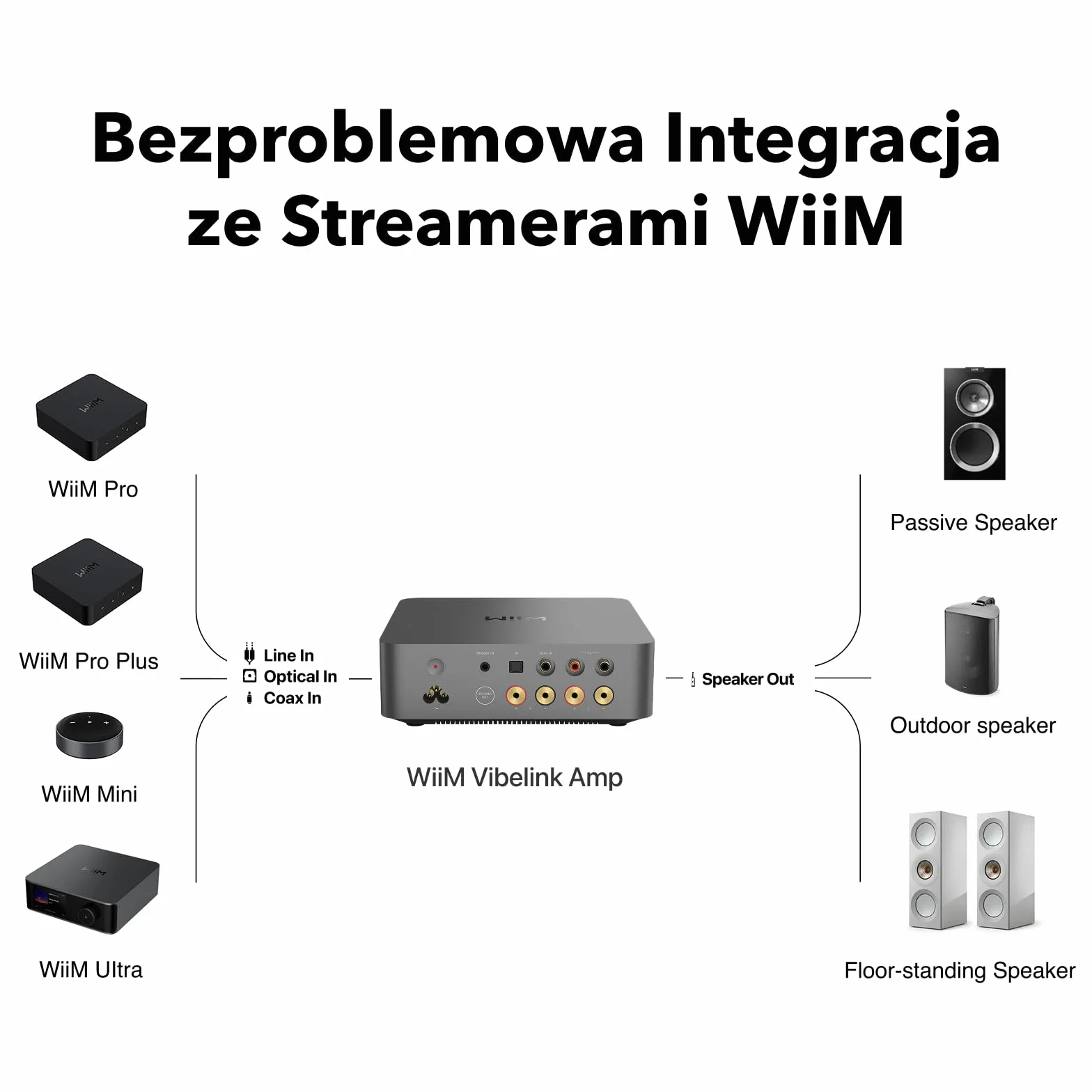 WiiM Vibelink Amp | Wzmacniacz 100W z wysokiej klasy DAC ESS 9039Q2M i układem TI TPA3255 | Kompatybilny z WiiM Mini, Pro, Pro Plus i Ultra | Wejścia RCA, Coax i optyczne | Space Gray