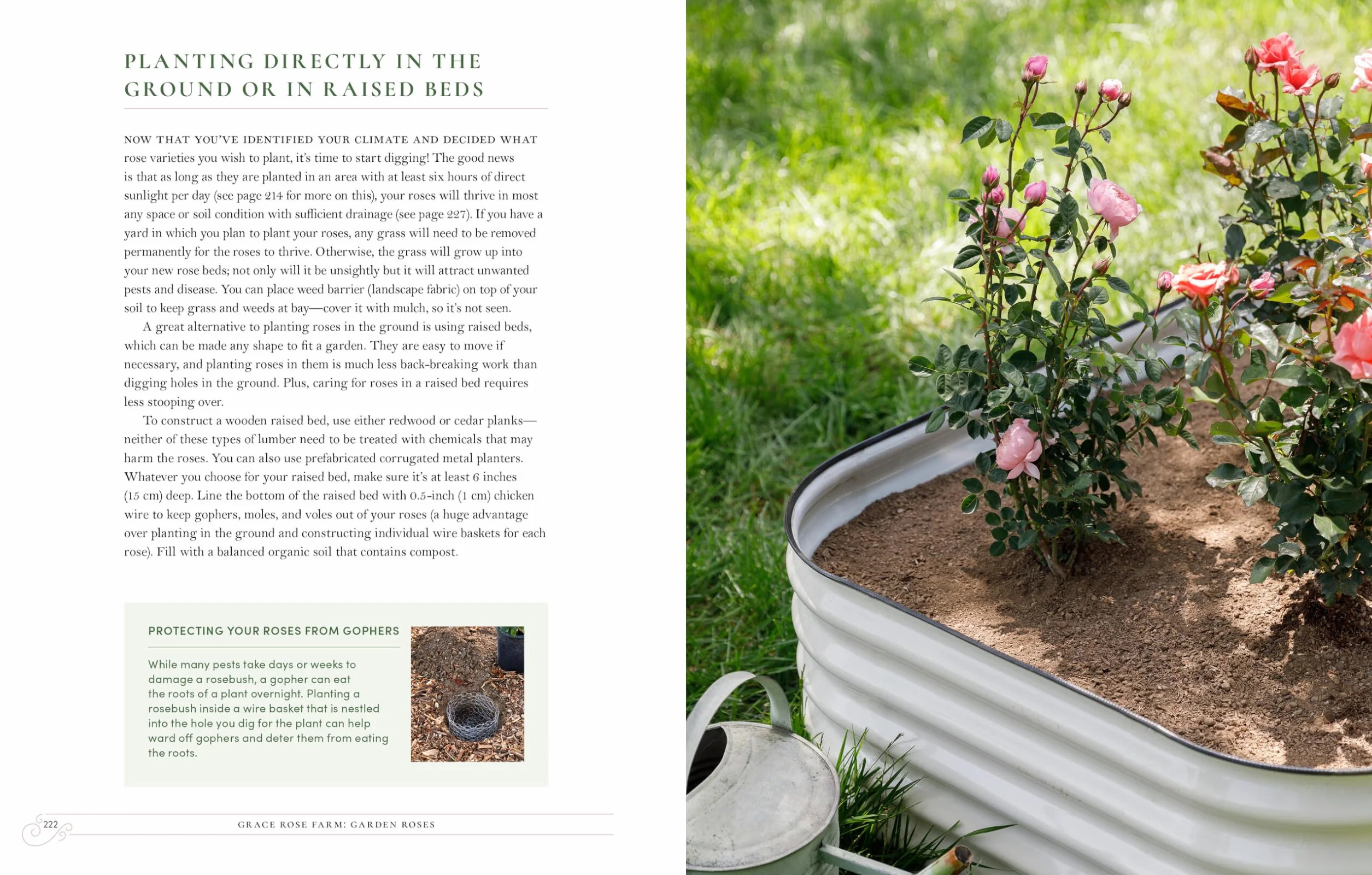 Grace Rose Farm: Garden Roses: The Complete Guide to Growing & Arranging Spectacular Blooms