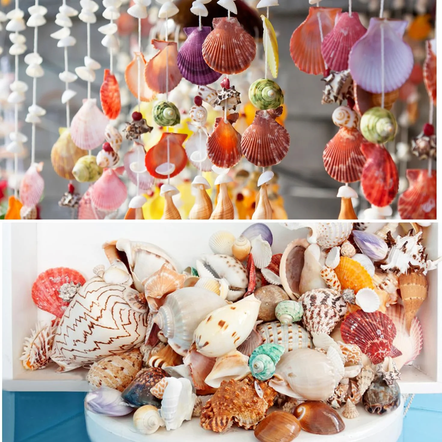 Jangostor Muszle morskie, mieszane muszle oceaniczne, 3 cm-9 cm, różne rozmiary, muszle plażowe i naturalne rozgwiazdy, do wazonu, wypełniacz, na plażę, imprezę tematyczną, do domu, na wesele, do