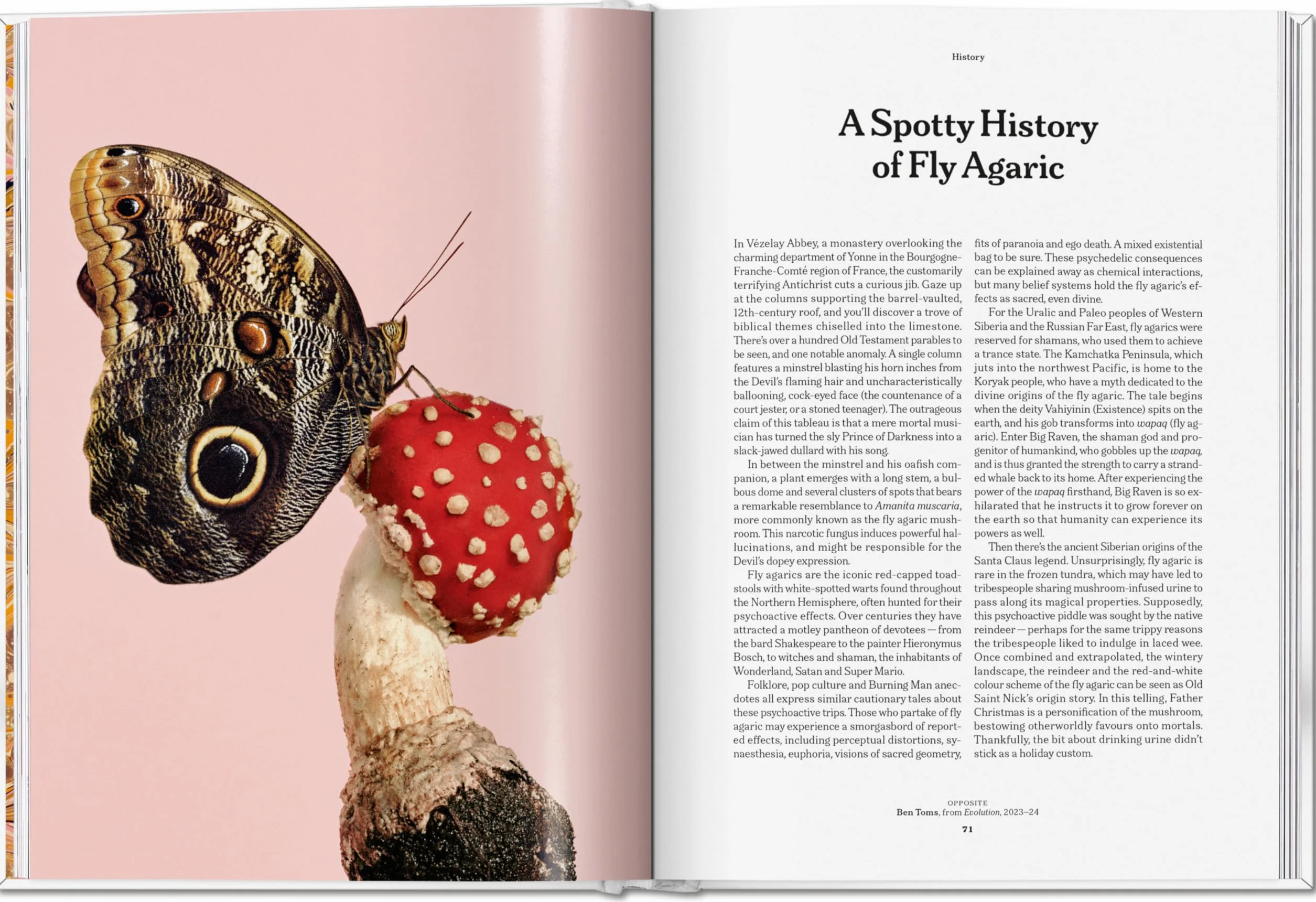 The Gourmand's Mushroom. a Collection of Stories & Recipes