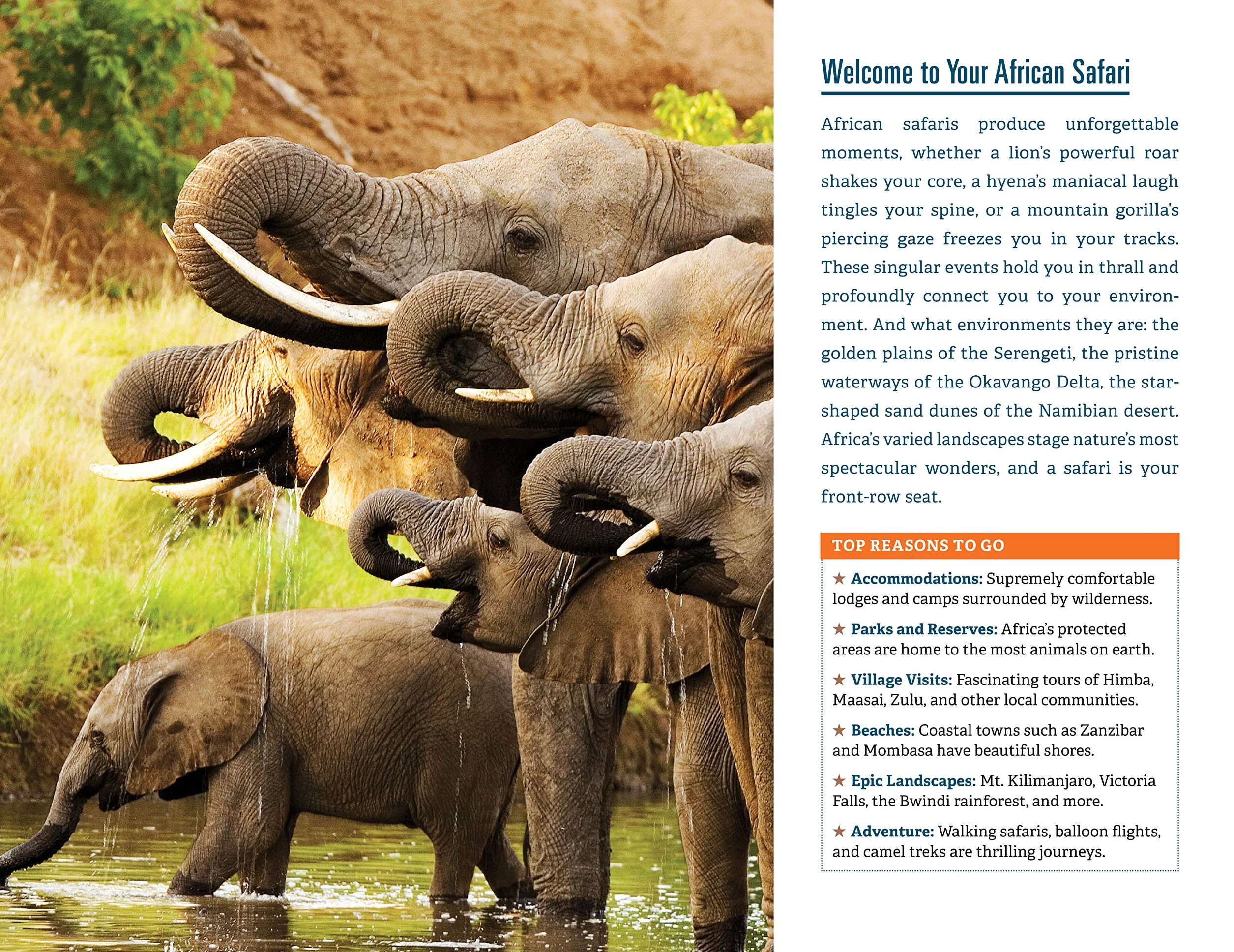 Fodor's the Complete Guide to African Safaris: With South Africa, Kenya, Tanzania, Botswana, Namibia, Rwanda, Uganda, and Victoria Falls
