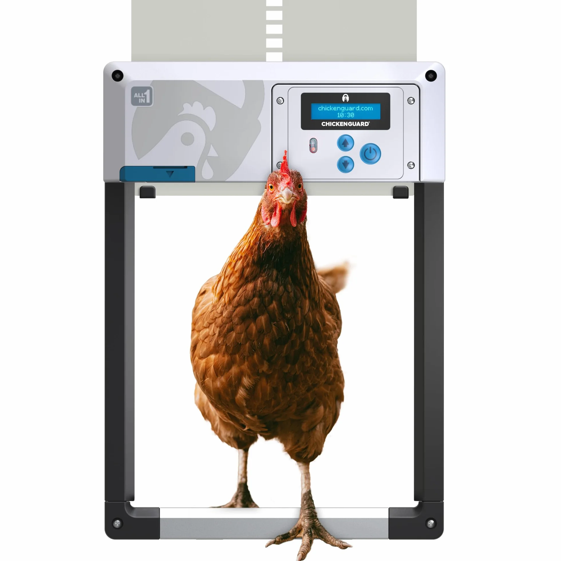 Automatyczny otwieracz do drzwi kurnika, ChickenGuard One we wszystkich 4 kolorach + zestaw paneli słonecznych, timer / czujnik światła, kompatybilny z bateriami/elektrycznie (szary + baterie)