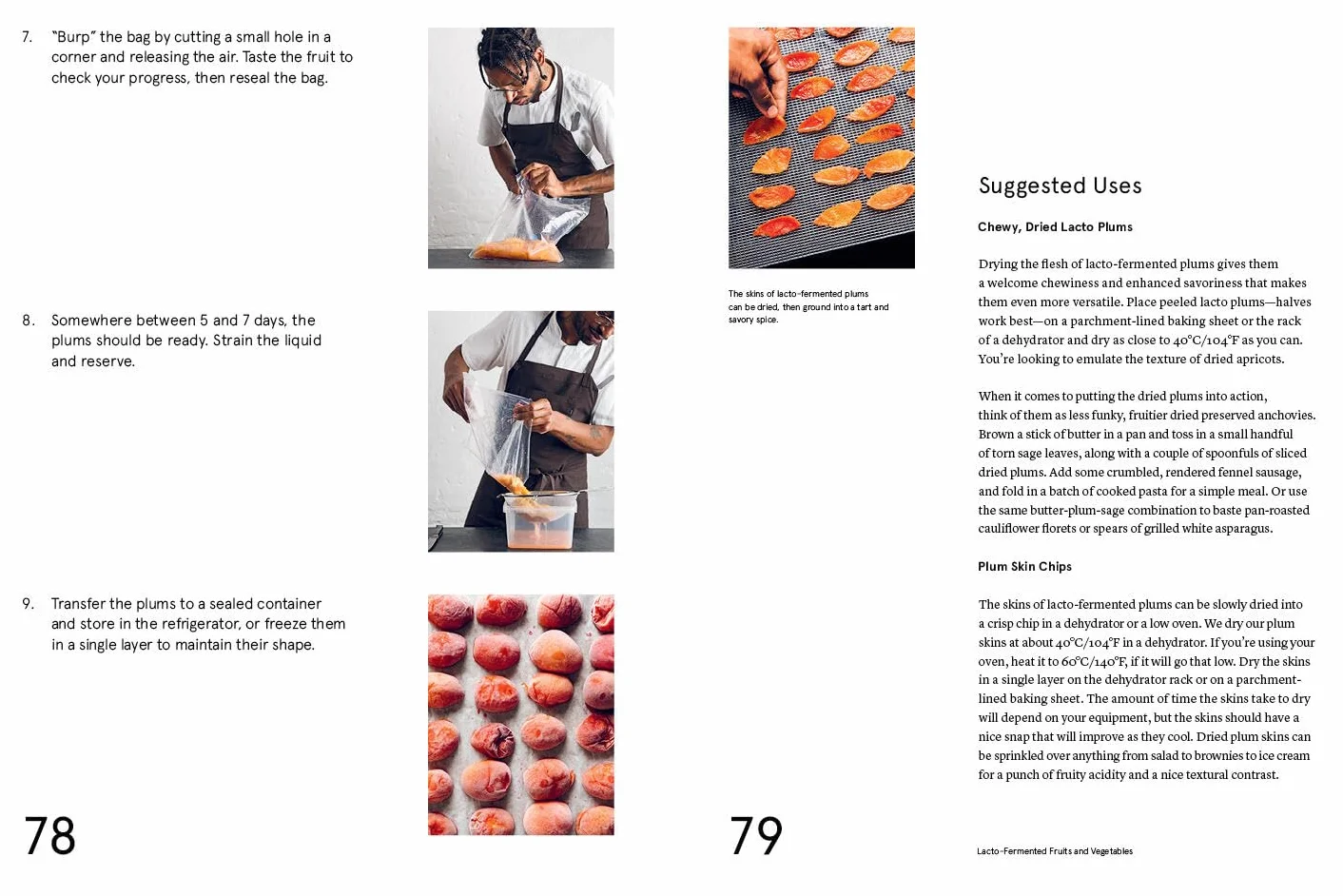 The Noma Guide to Fermentation: Including Koji, Kombuchas, Shoyus, Misos, Vinegars, Garums, Lacto-Ferments, and Black Fruits and Vegetables