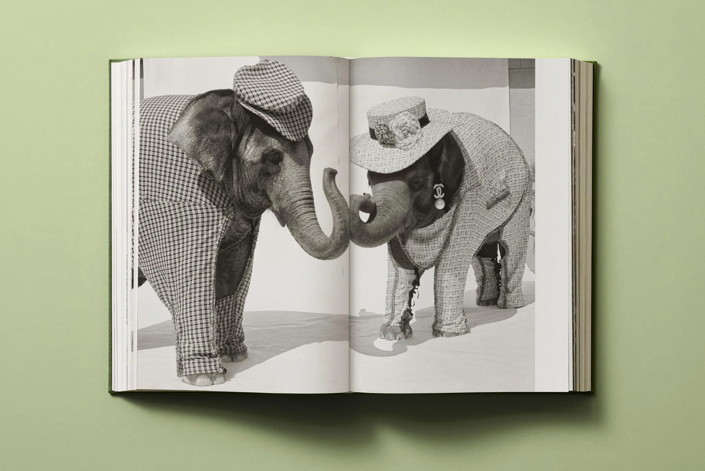 Bruce Weber. My Education