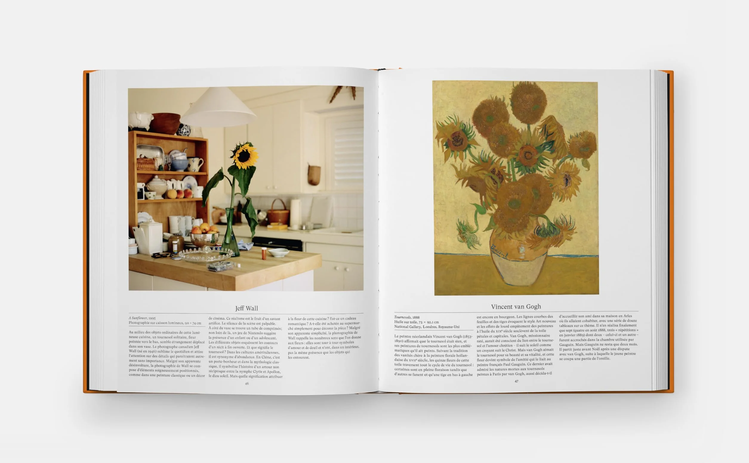 Fleurs: Explorer le monde floral