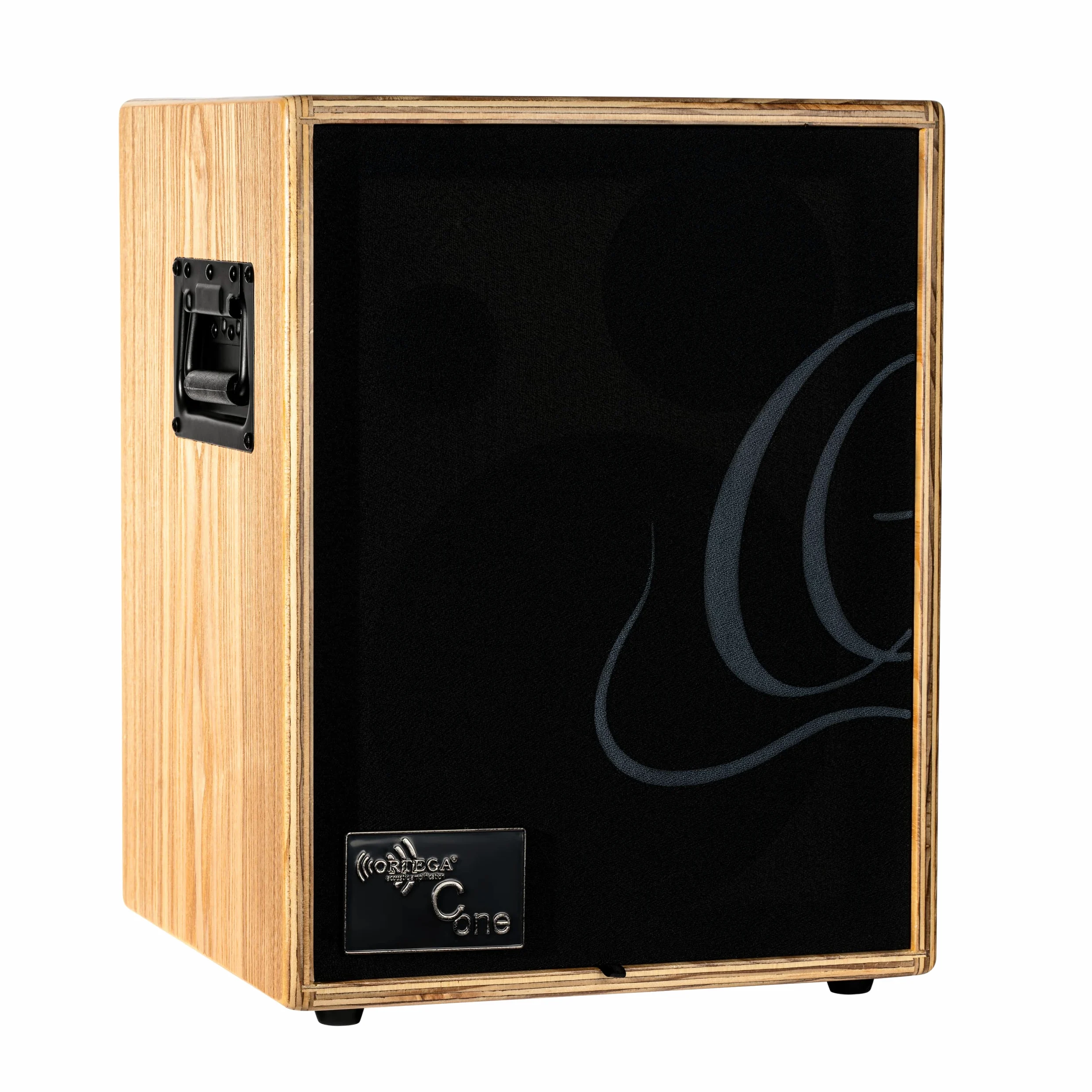 ACCOUSTIC COMBO 100W ORTEGA