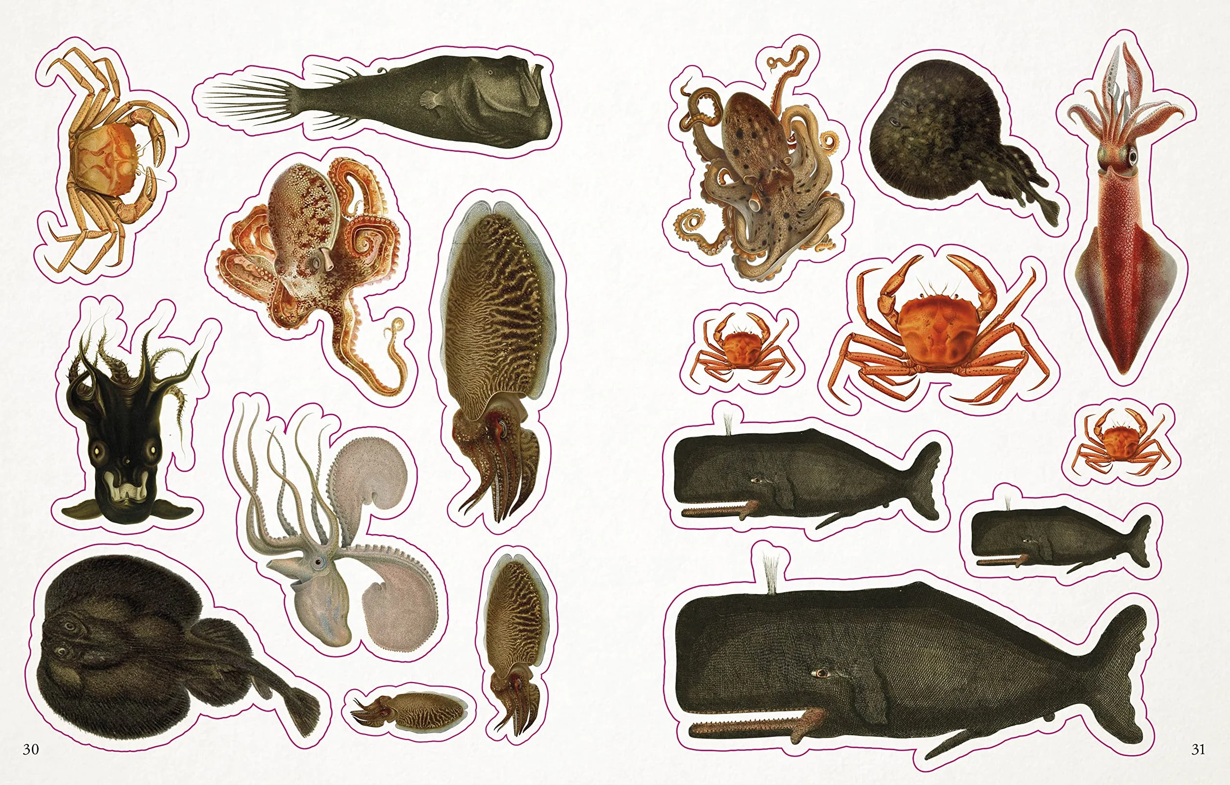 The Seashore Sticker Anthology: With More Than 1,000 Vintage Stickers