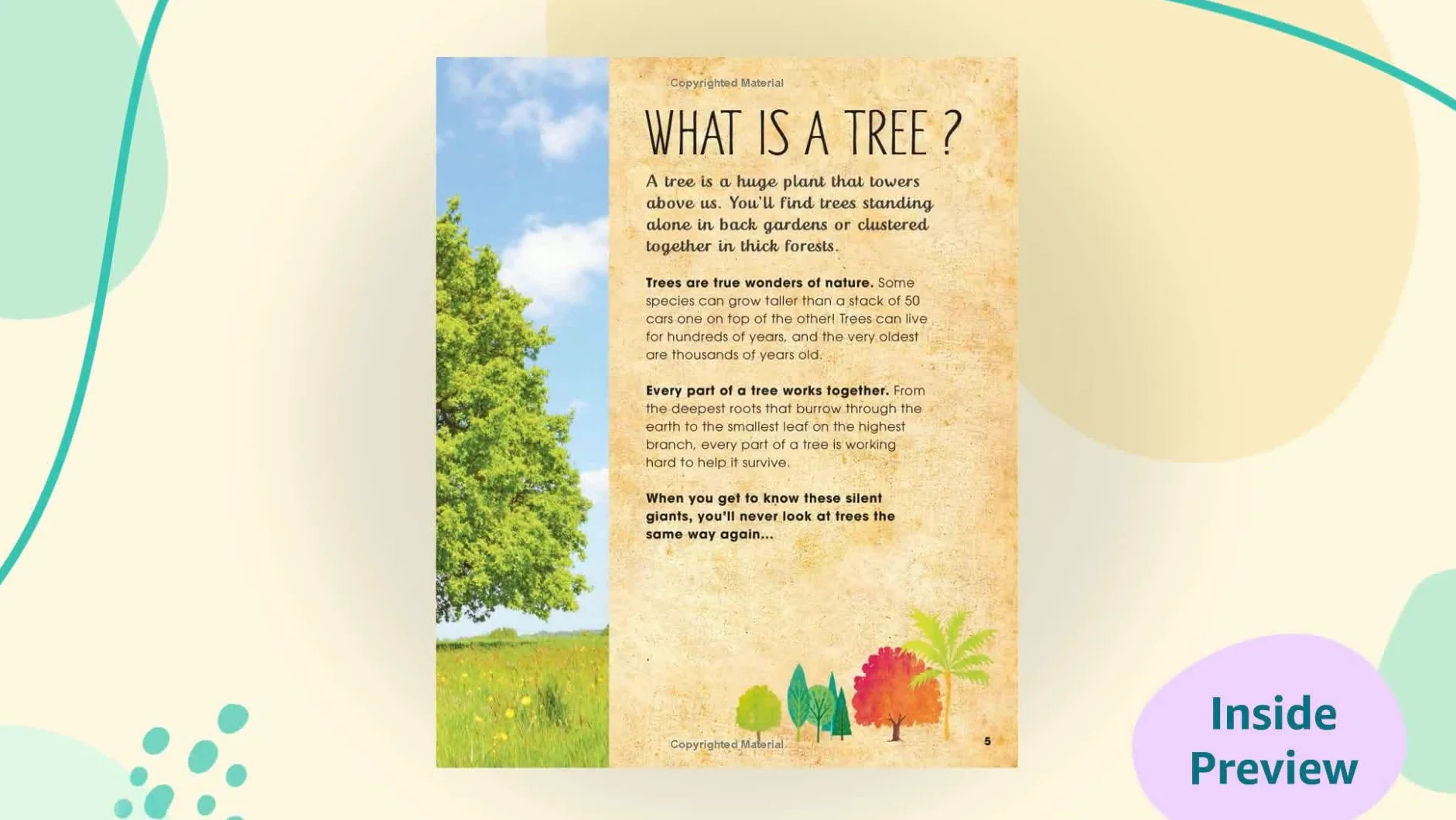 RHS The Magic and Mystery of Trees (The Magic and Mystery of Nature)