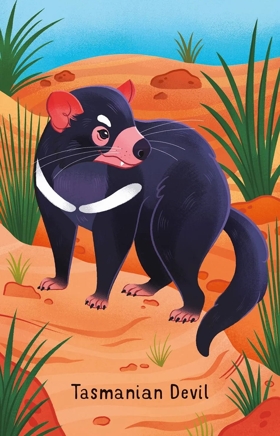 Australian Animal Snap (Snap Cards)