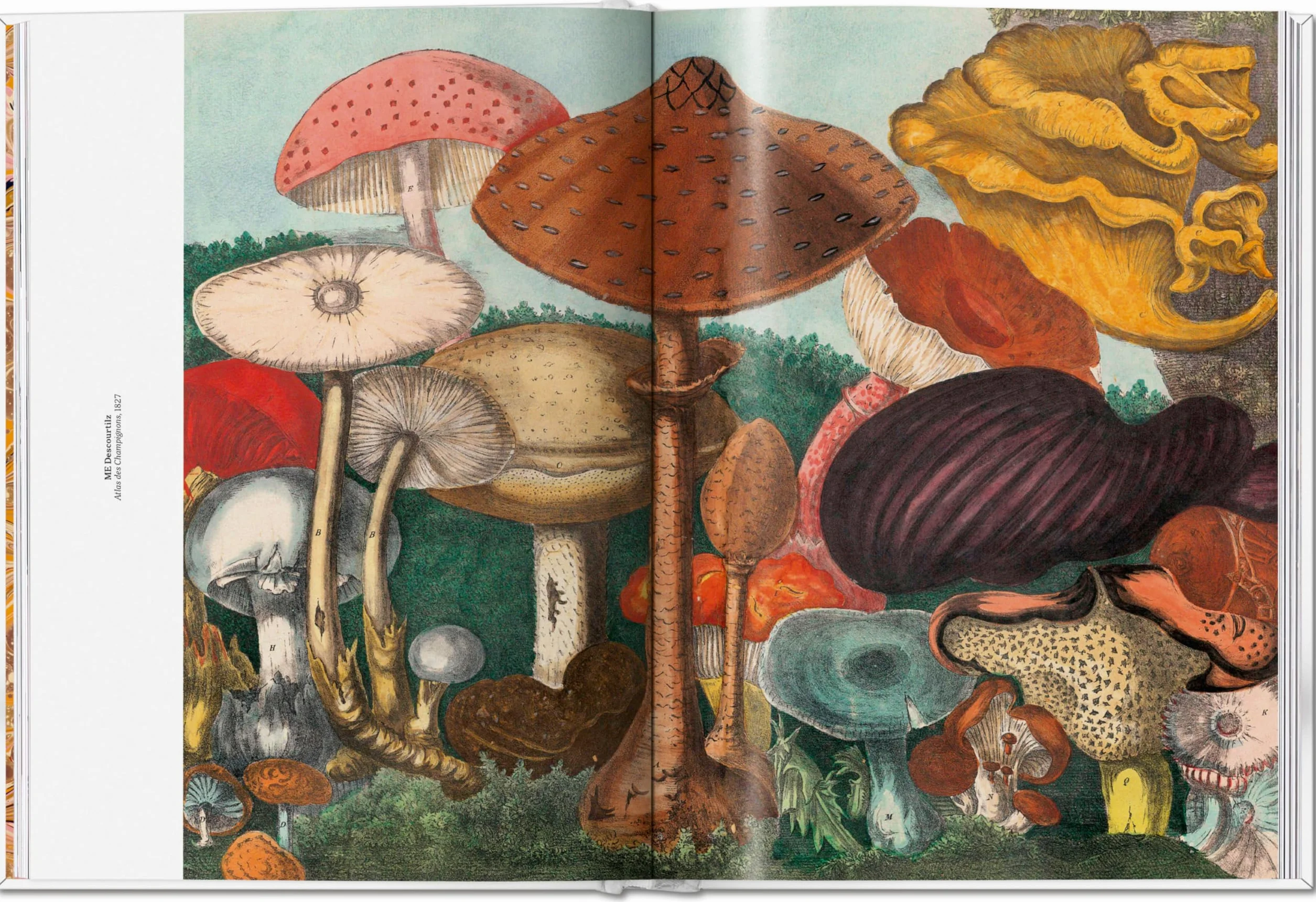 The Gourmand's Mushroom. a Collection of Stories & Recipes