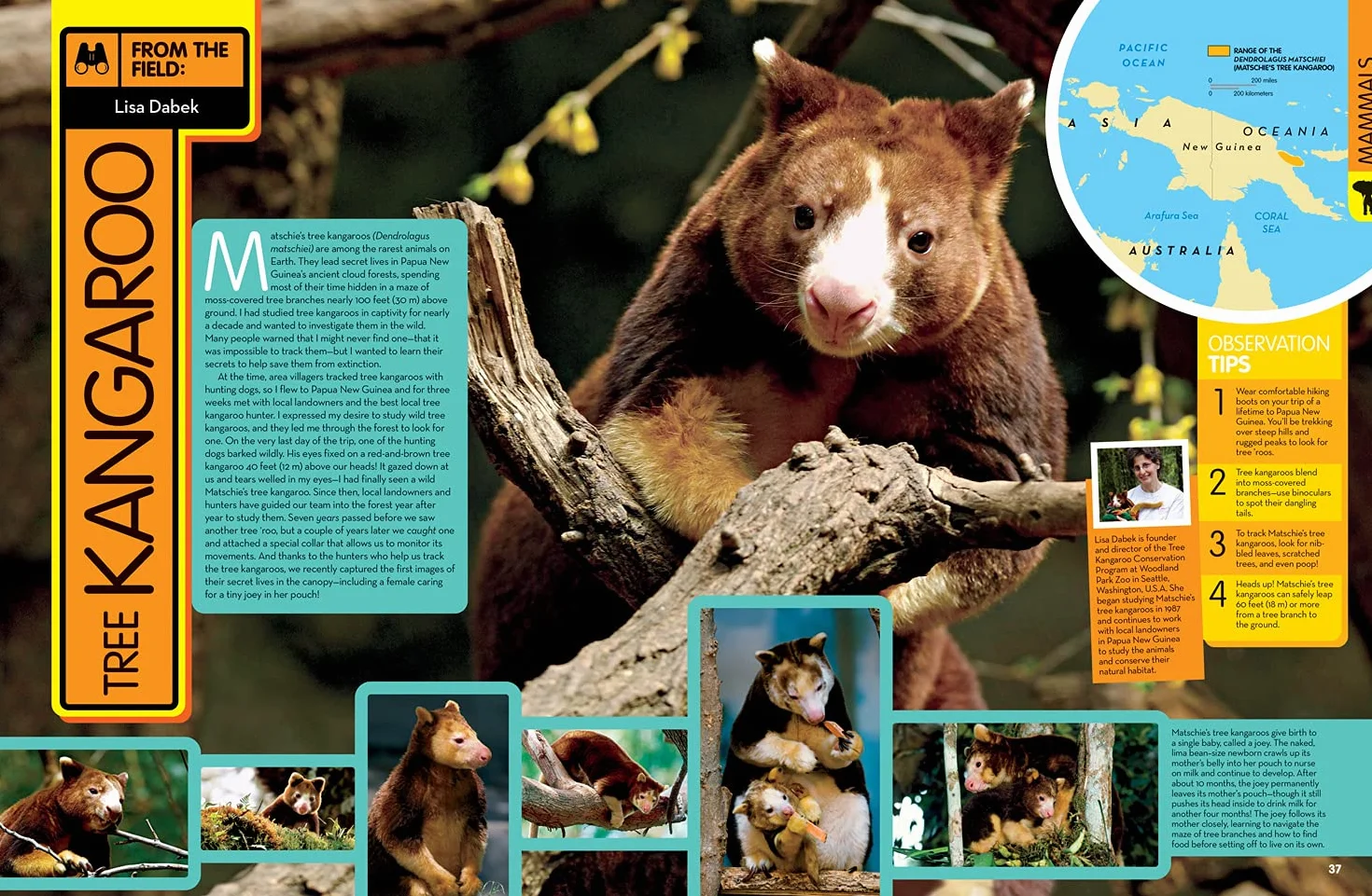 Animal Encyclopedia: 2,500 Animals with Photos, Maps, and More!