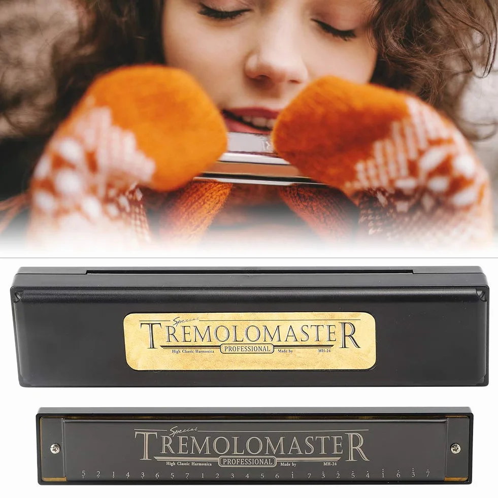 C-Key 24-otworowa harmonijka Profesjonalny instrument dęty Mouthorgan (czarny mat)