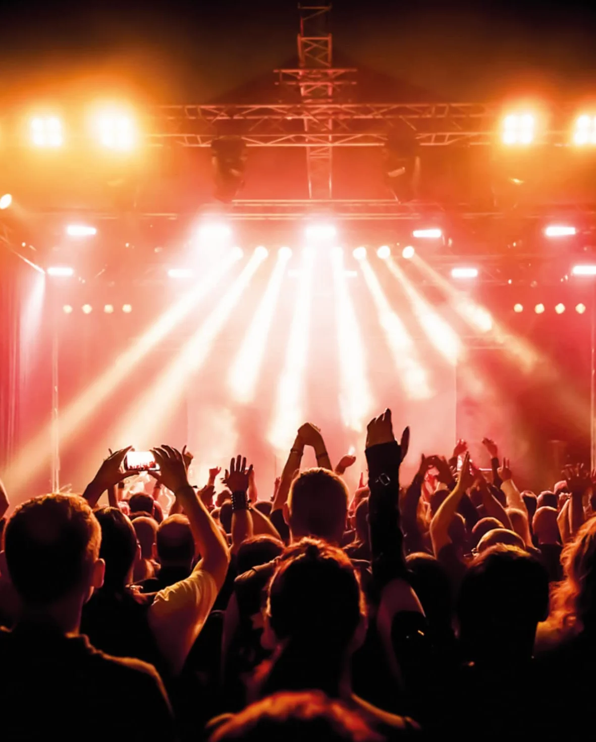 AudioNova Music - Zatyczki do uszu dla muzyków, na koncerty, festiwale | Dyskretny, doskonały dźwięk | Silikonowa ochrona słuchu, wielokrotnego użytku | 3 rozmiary (S,M,L) | Tłumienie 16dB