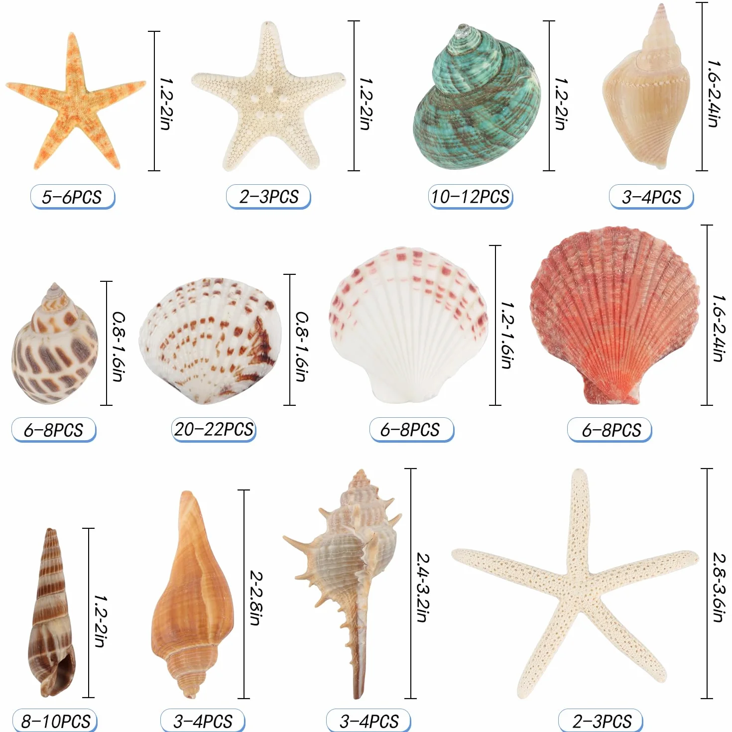 Jangostor Muszle morskie, mieszane muszle oceaniczne, 3 cm-9 cm, różne rozmiary, muszle plażowe i naturalne rozgwiazdy, do wazonu, wypełniacz, na plażę, imprezę tematyczną, do domu, na wesele, do
