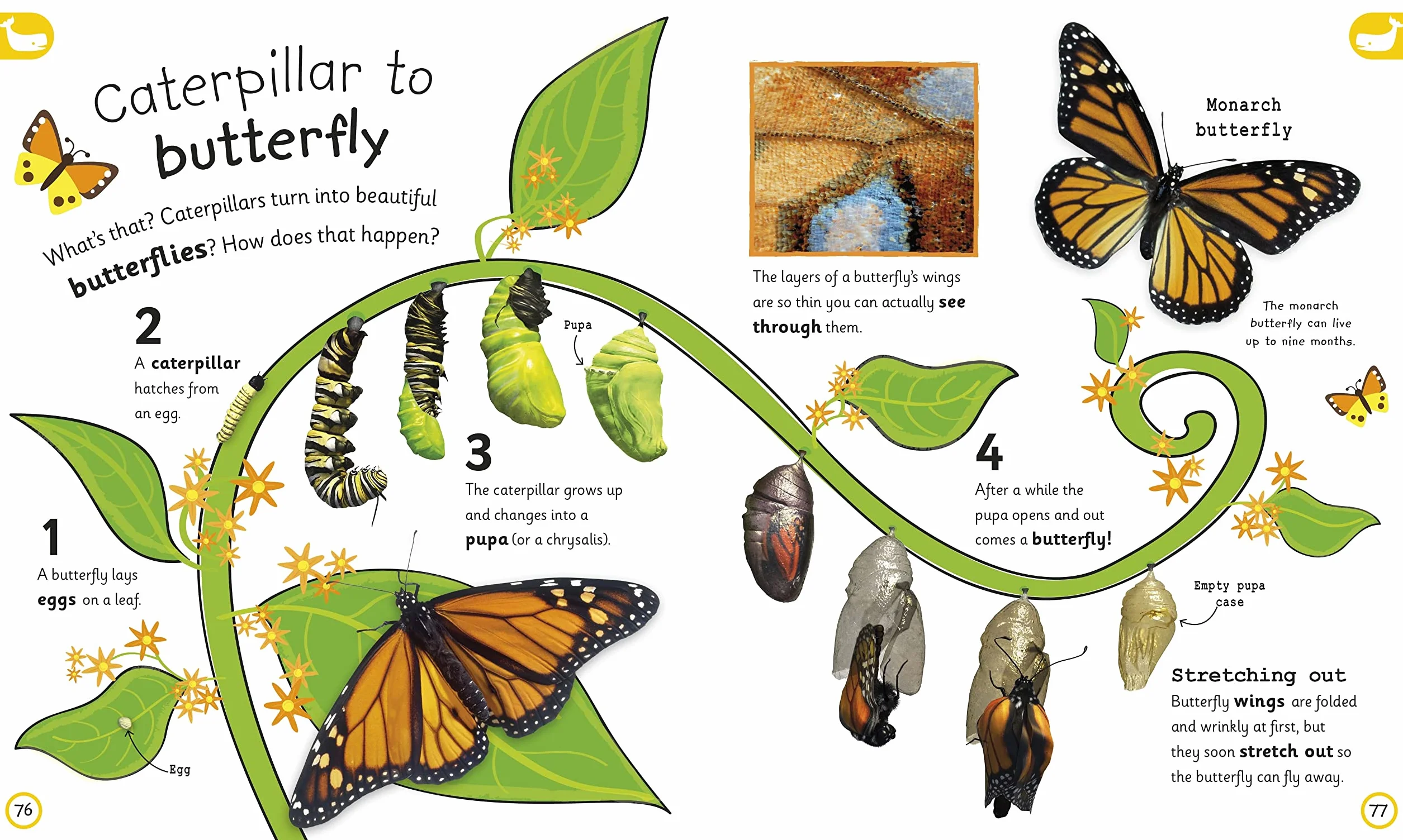 My Encyclopedia of Very Important Things: For Little Learners Who Want to Know Everything