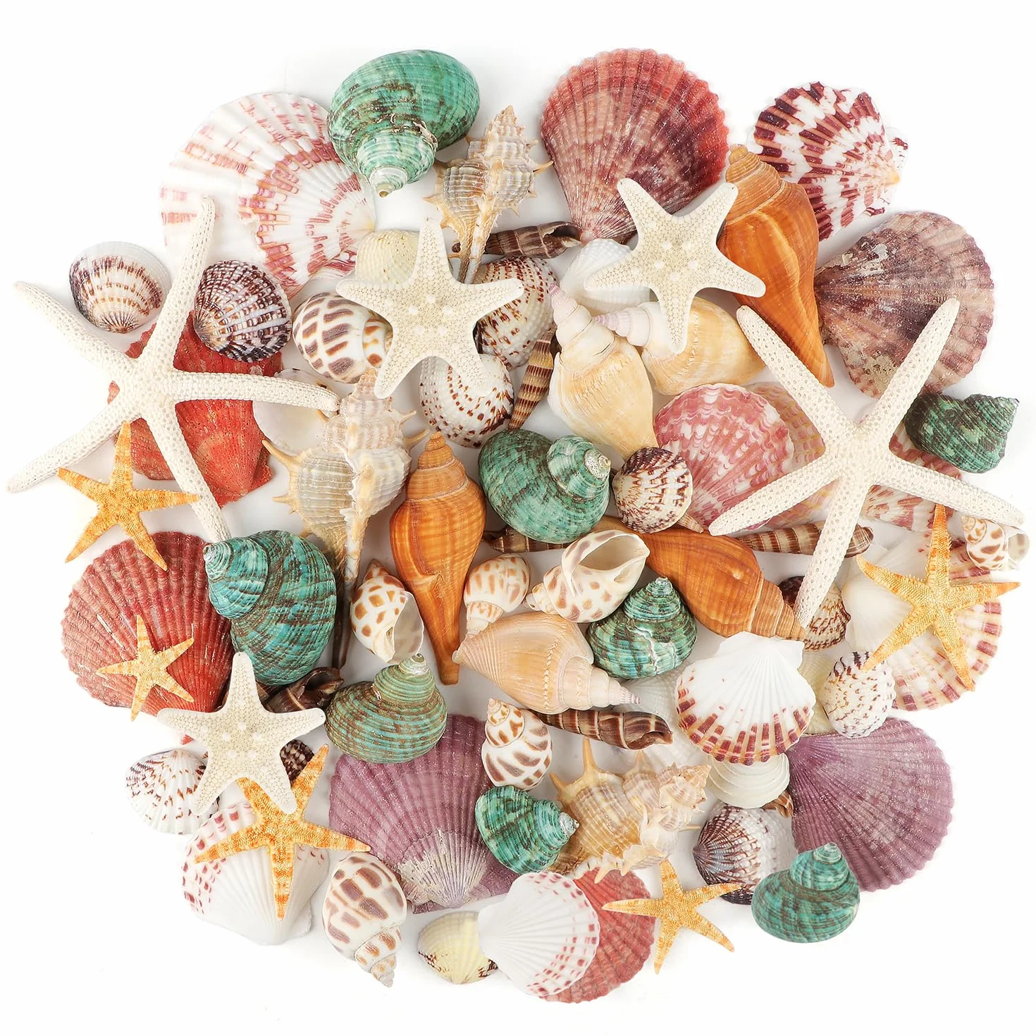 Jangostor Muszle morskie, mieszane muszle oceaniczne, 3 cm-9 cm, różne rozmiary, muszle plażowe i naturalne rozgwiazdy, do wazonu, wypełniacz, na plażę, imprezę tematyczną, do domu, na wesele, do