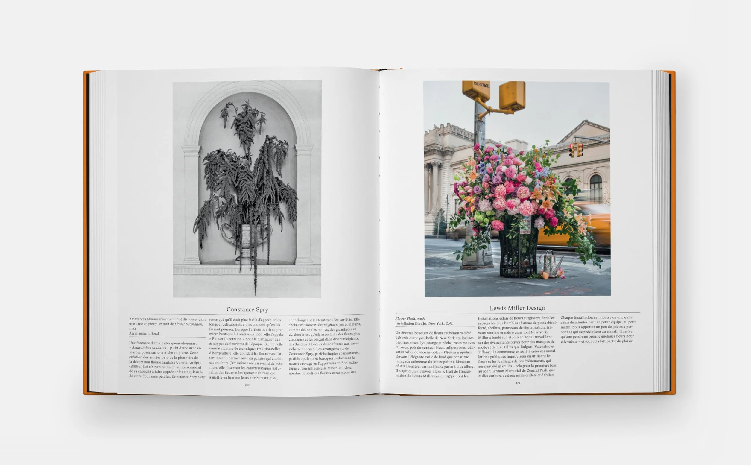 Fleurs: Explorer le monde floral