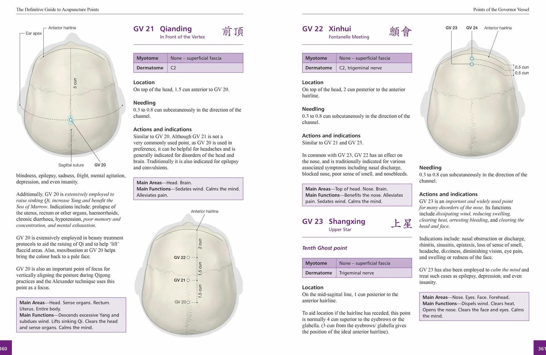 The Definitive Guide to Acupuncture Points: Theory and Practice