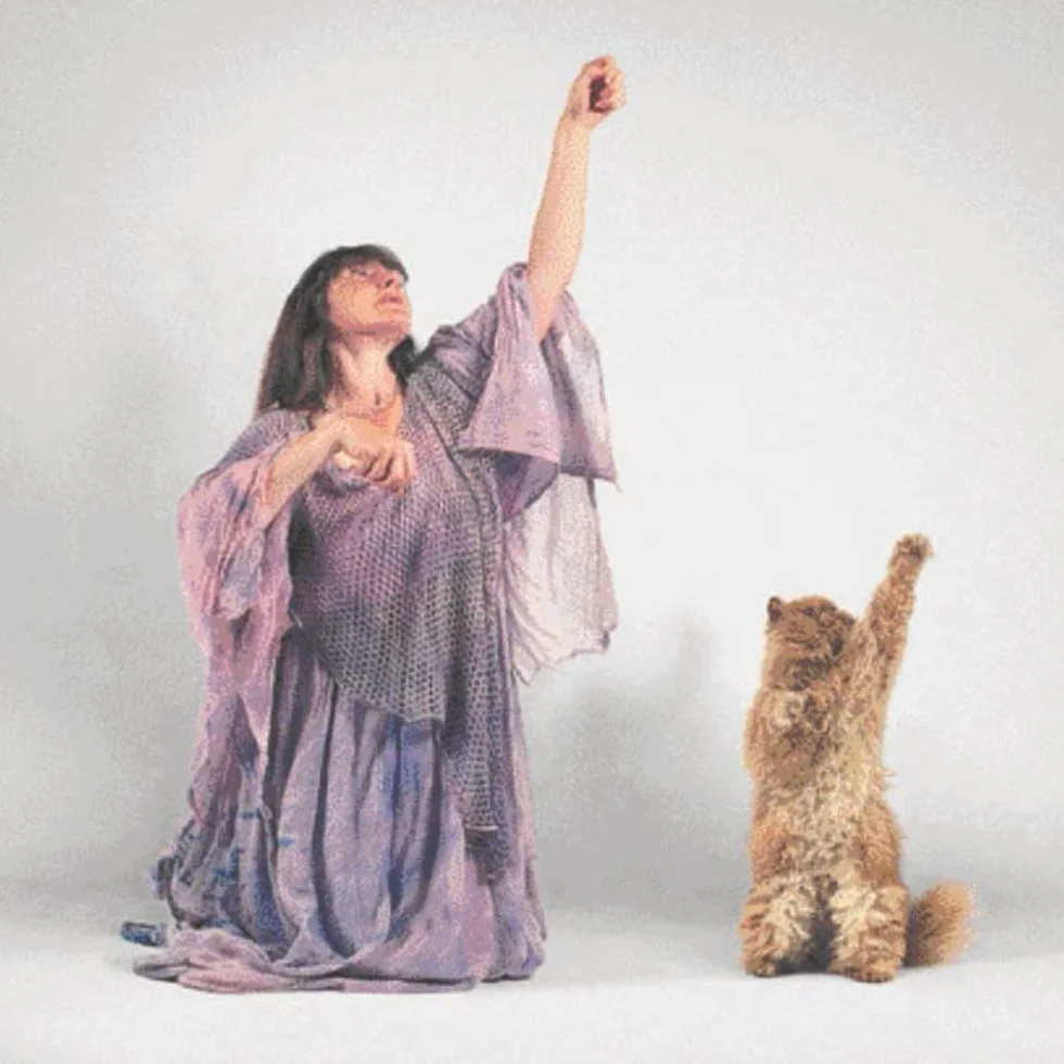 Dancing with Cats: From the Creators of the International Best Seller Why Cats Paint (Cat Books, Crazy Cat Lady Gifts, Gifts for Cat Lovers, Cat Photography)